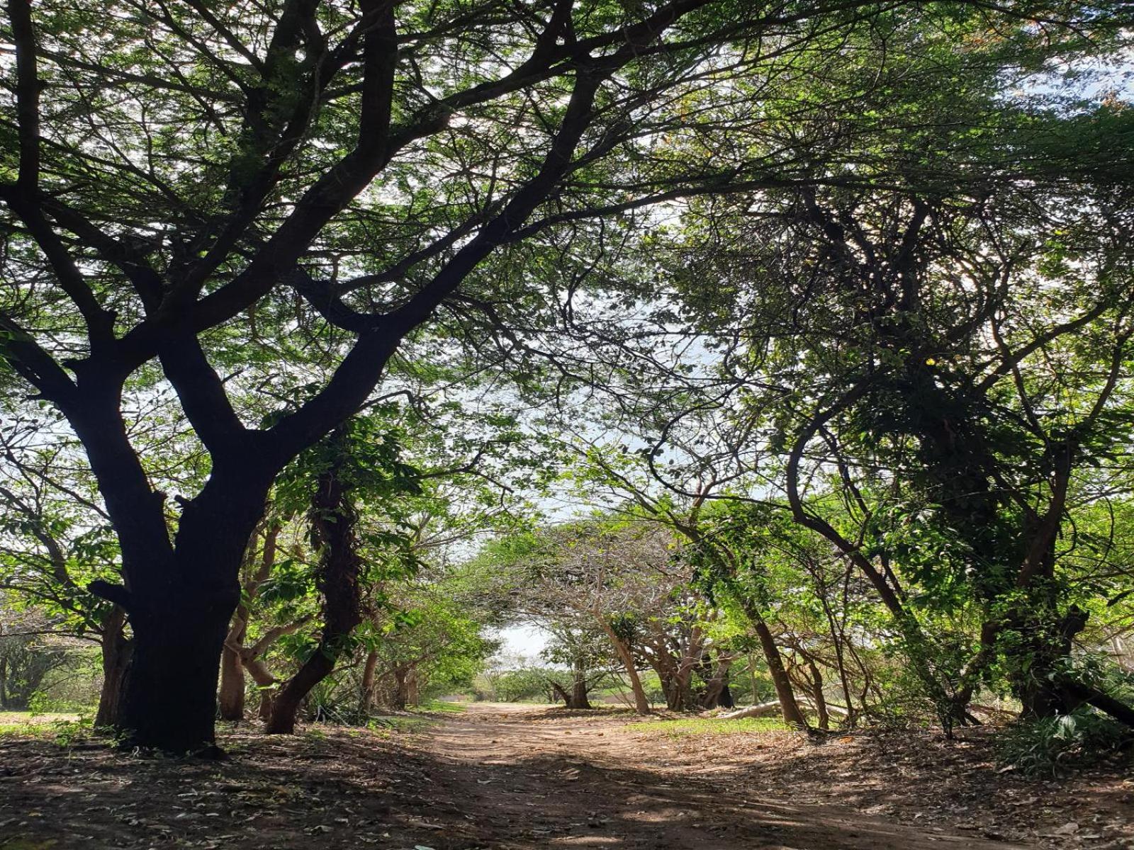 Pumusa Bushcamp