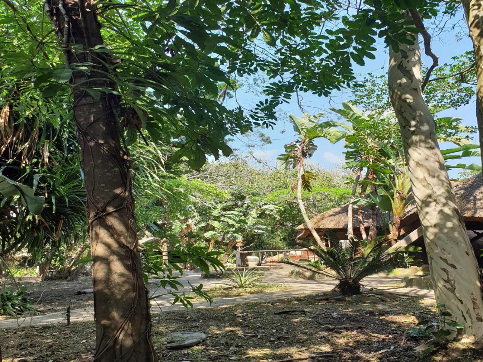 Pumusa Bushcamp