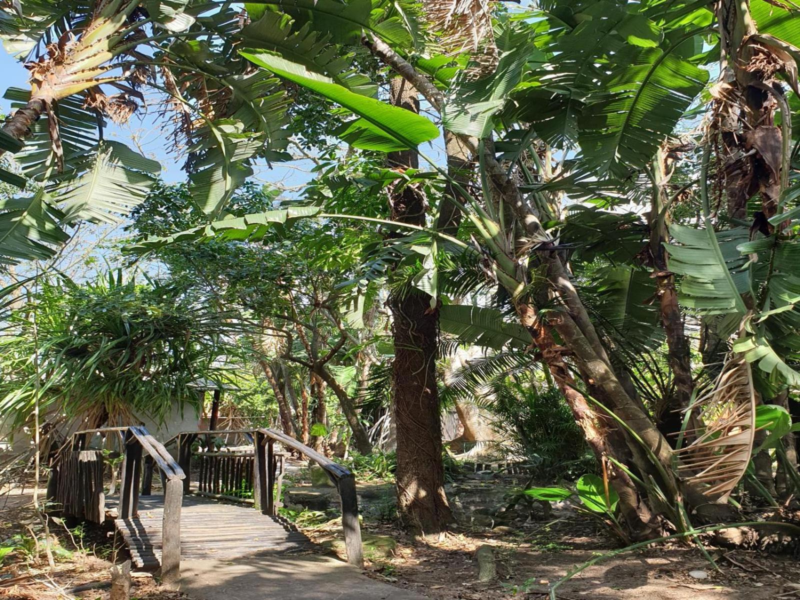 Pumusa Bushcamp