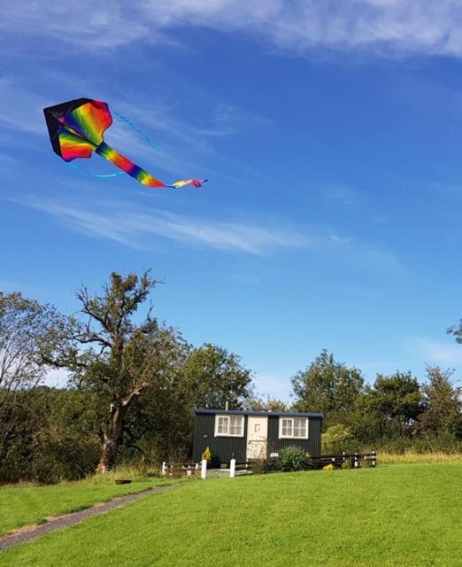 Glamping on the Hill