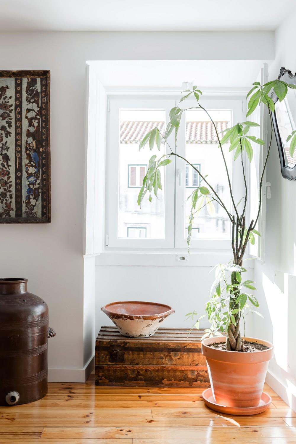 Alfama Terrace Best River and Historic City View Spacious and Charming Ground Floor 18th Century Building view 5