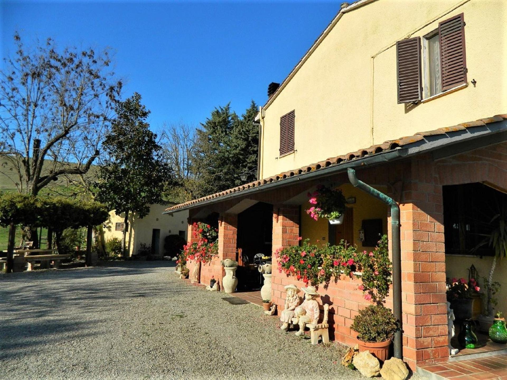 Francigena photo 4