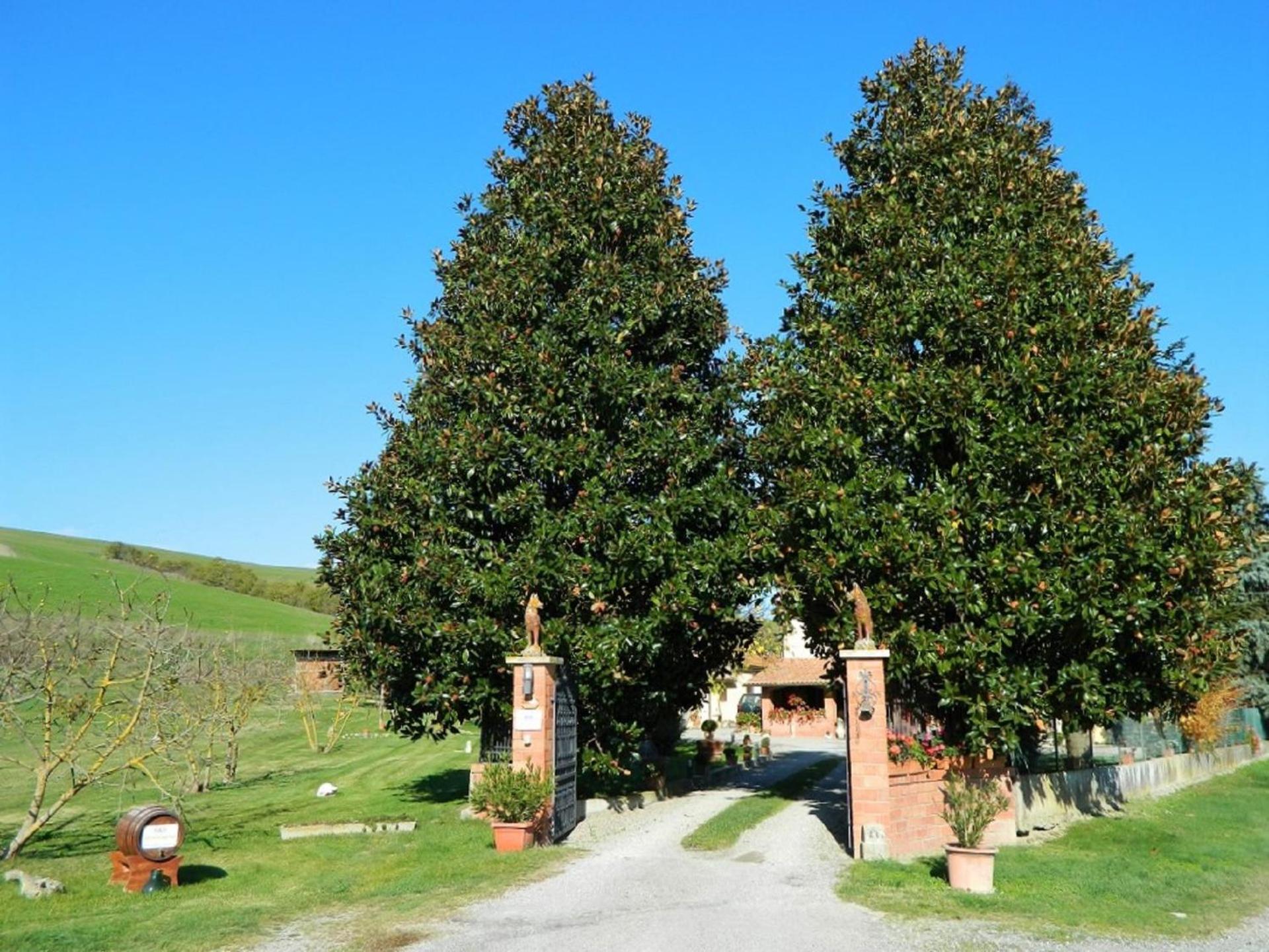 Francigena photo 3