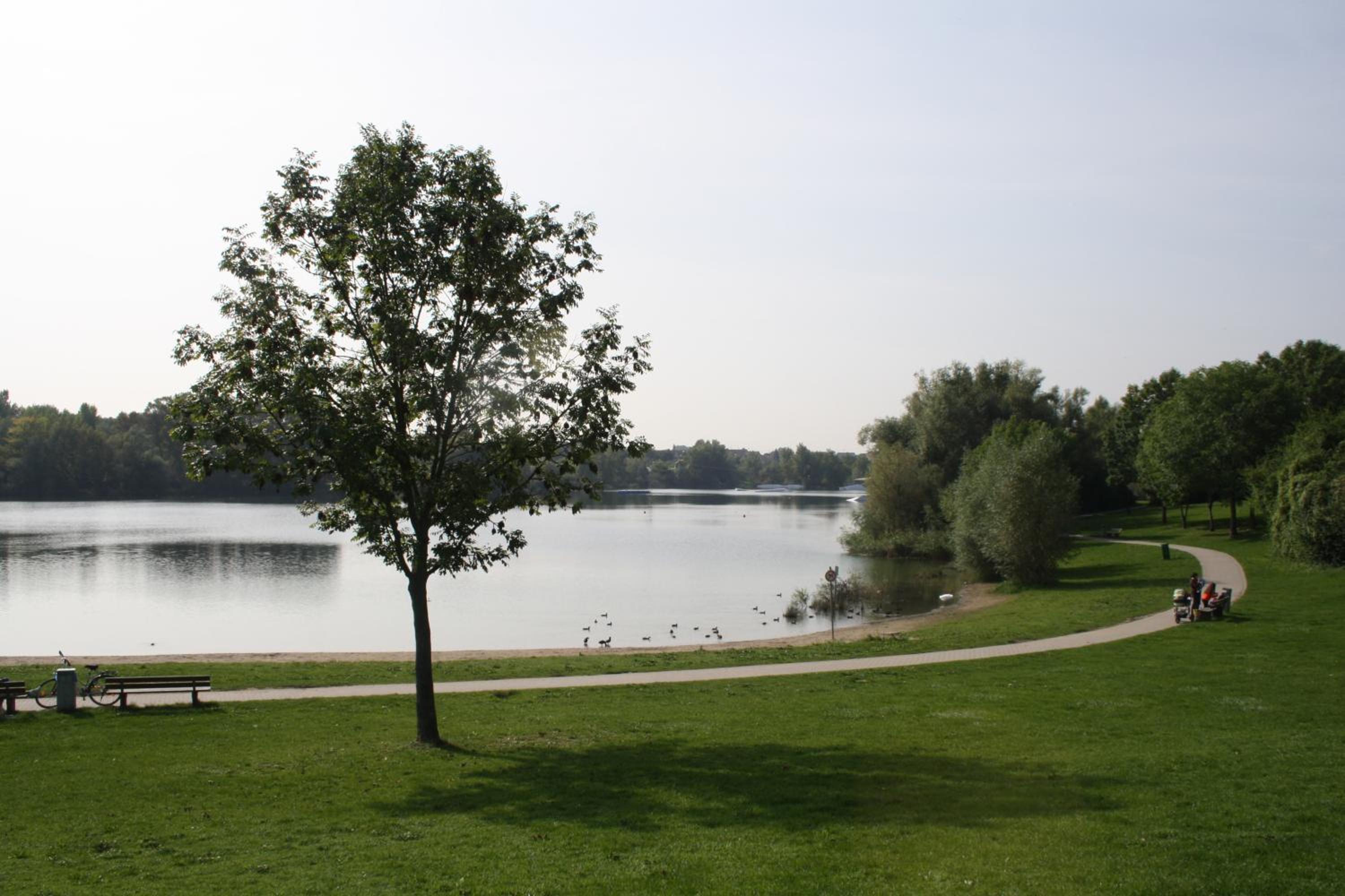 City Apartment Mannheim