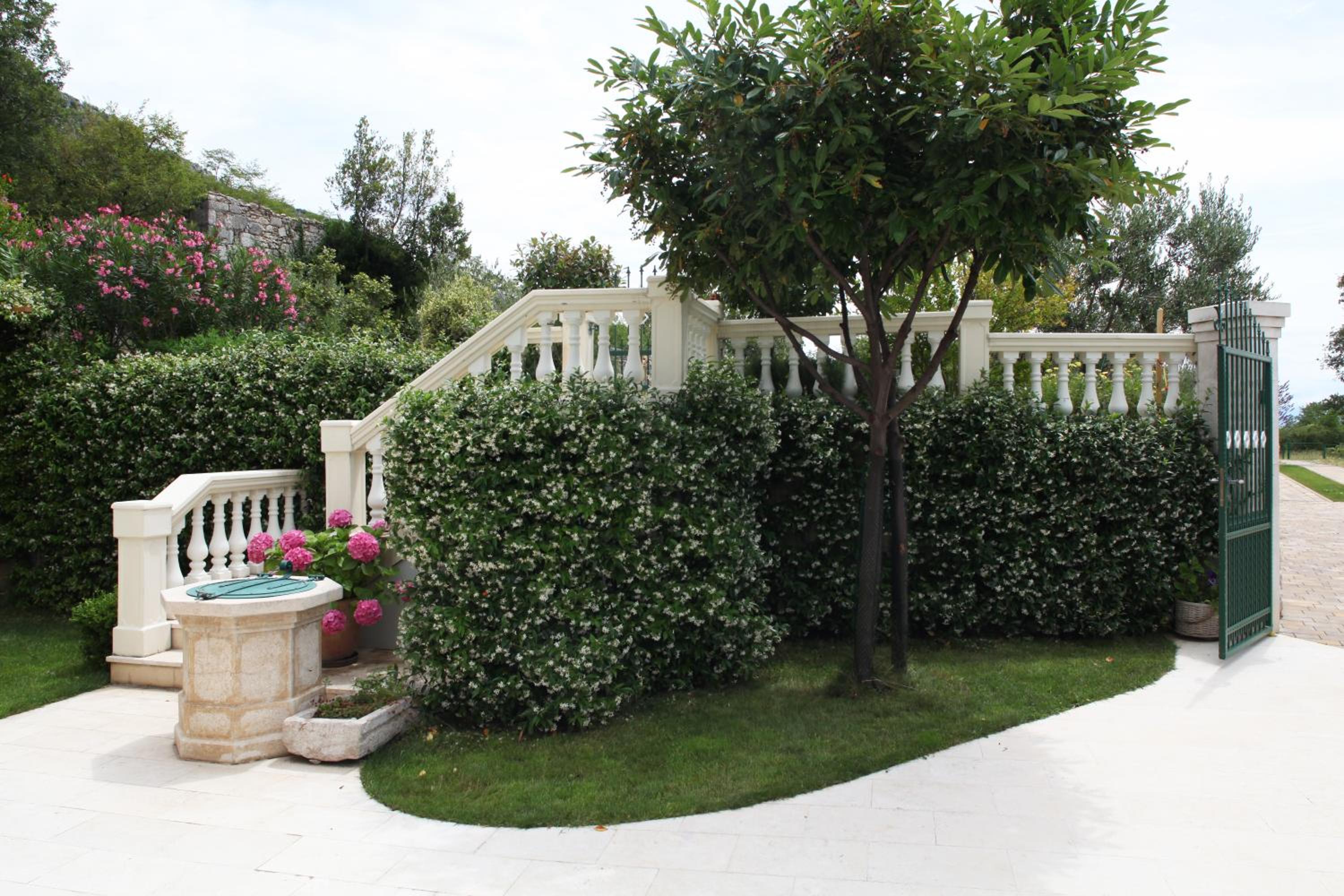 Photo 8