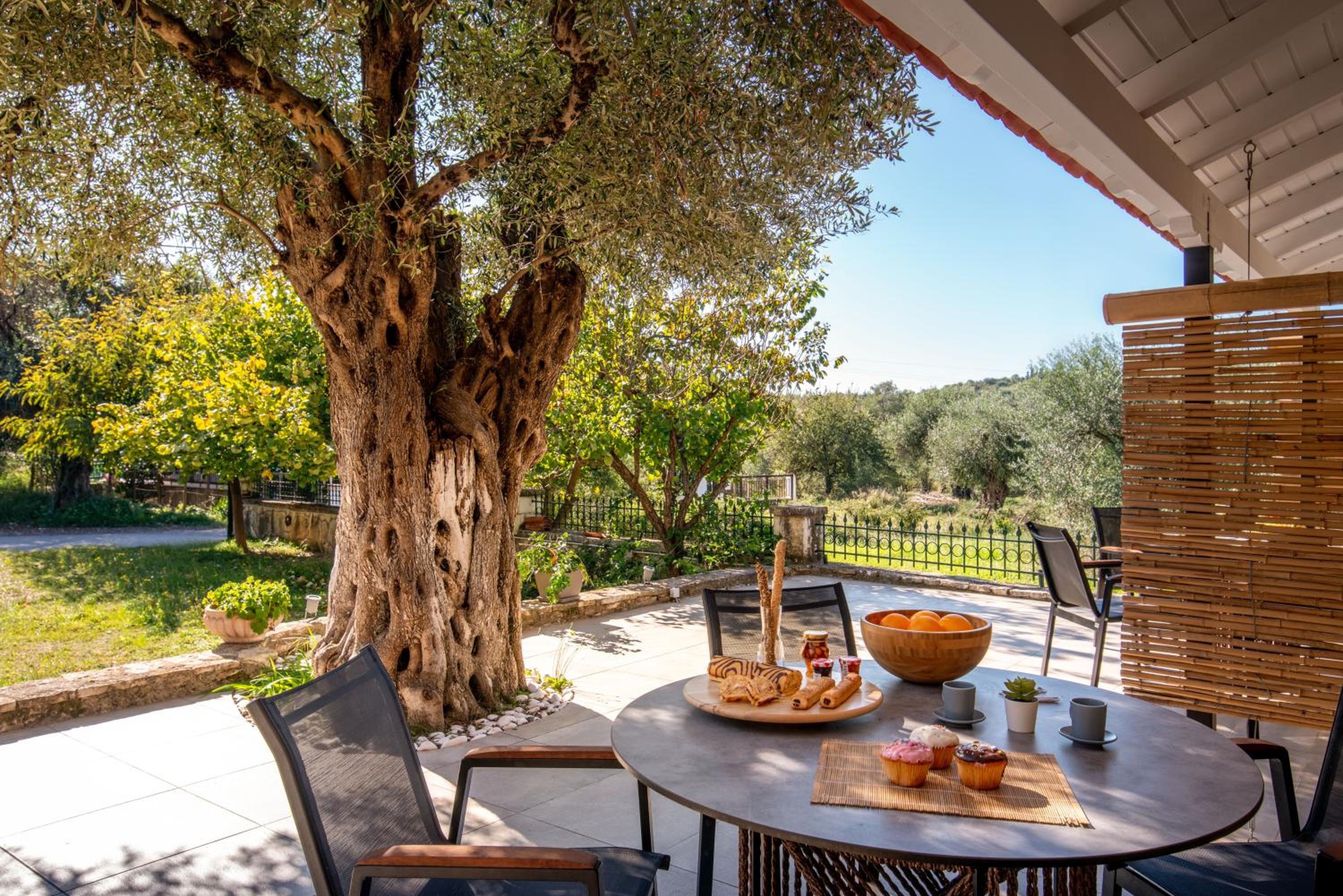 Olive Garden by Eutopia view 3