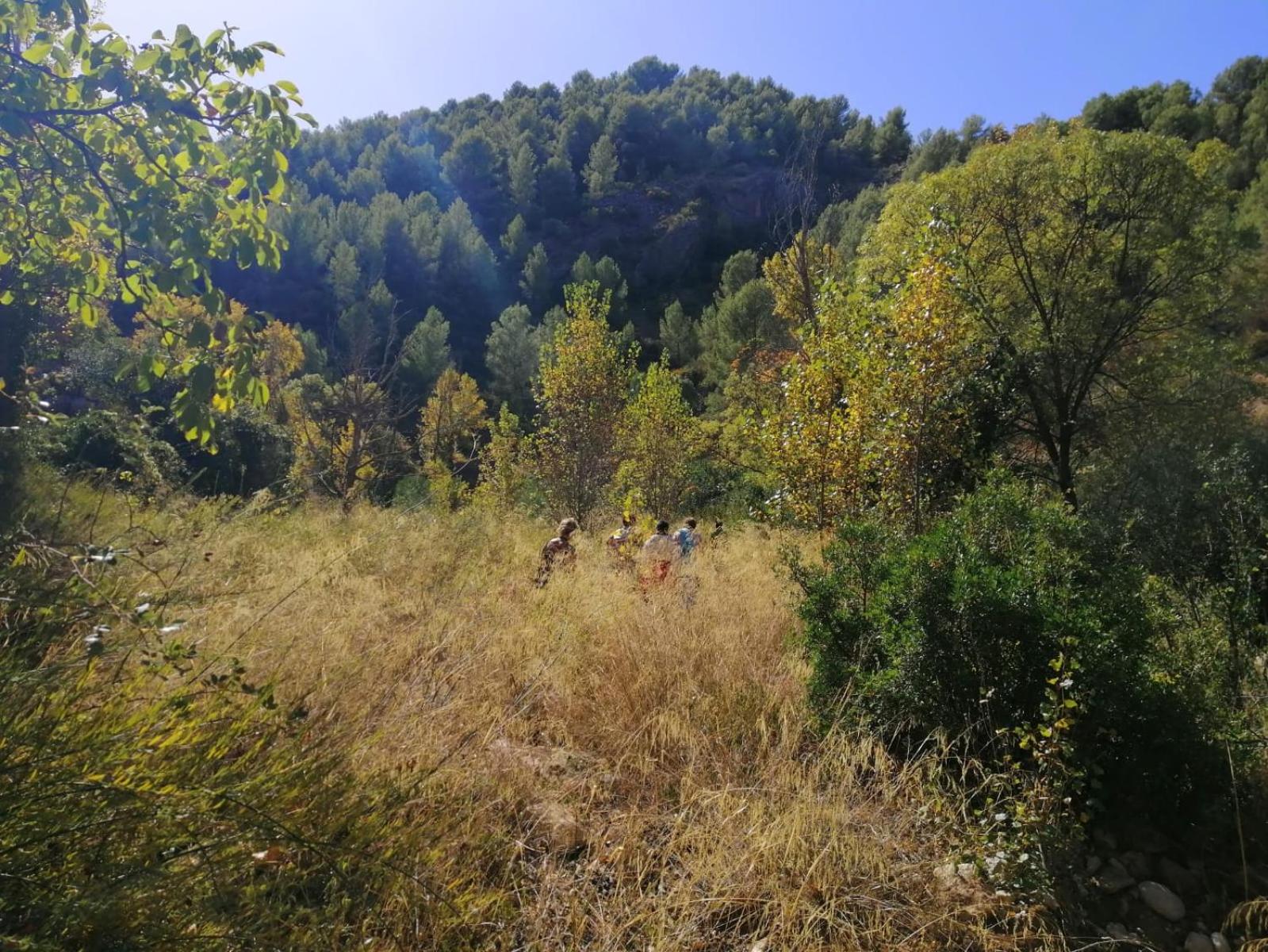 Photo 43