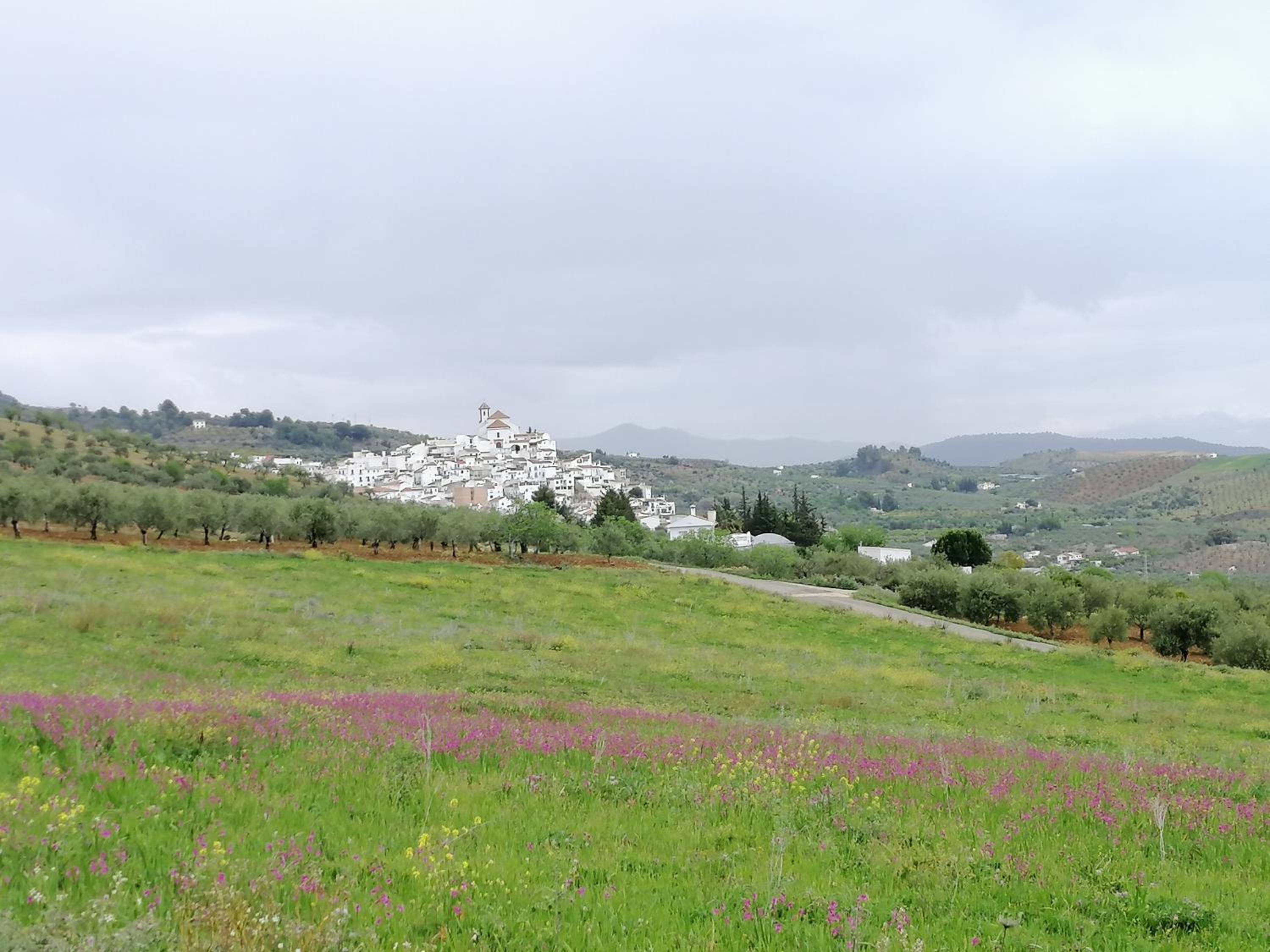 Photo 44