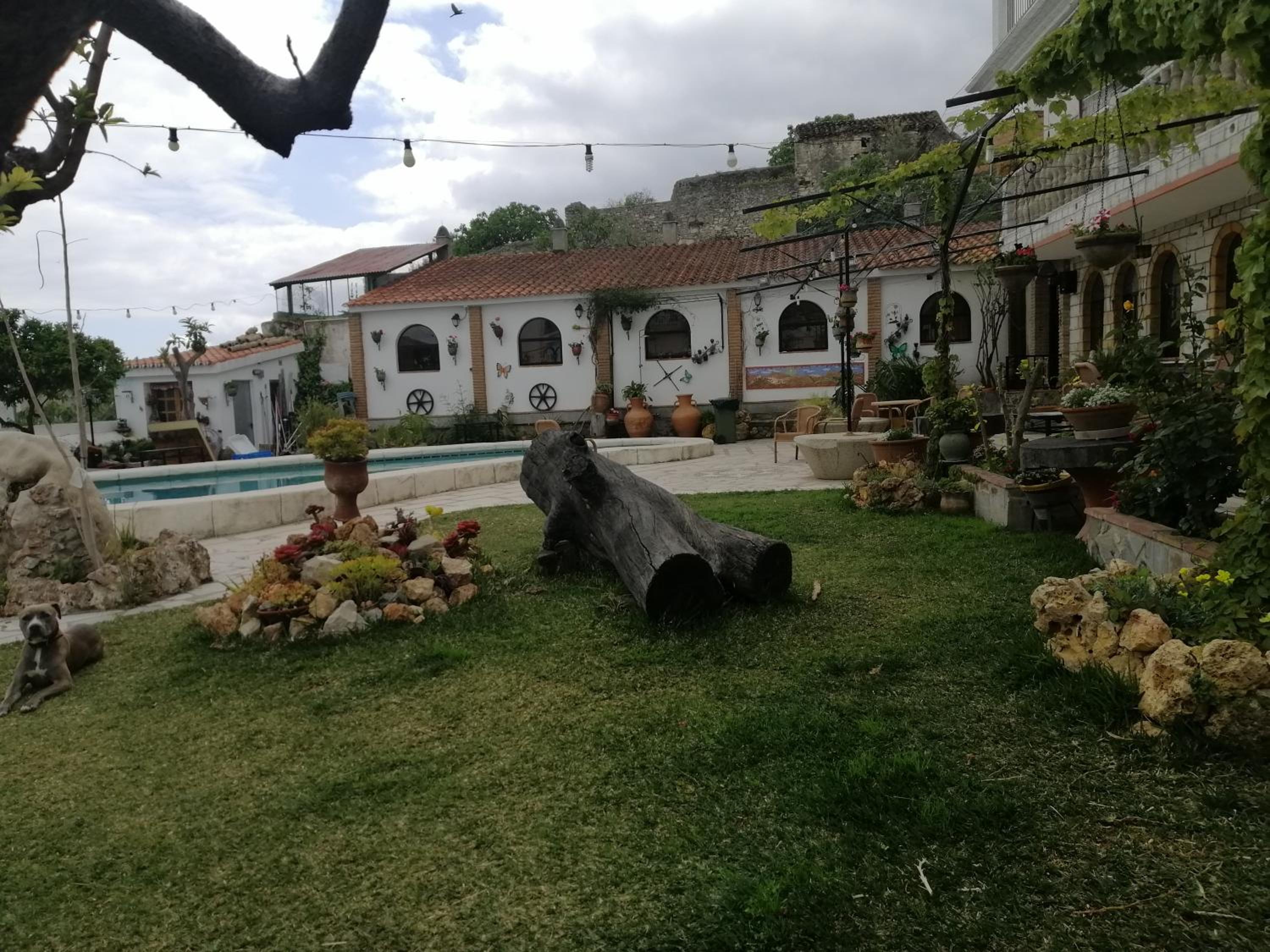 Photo 21