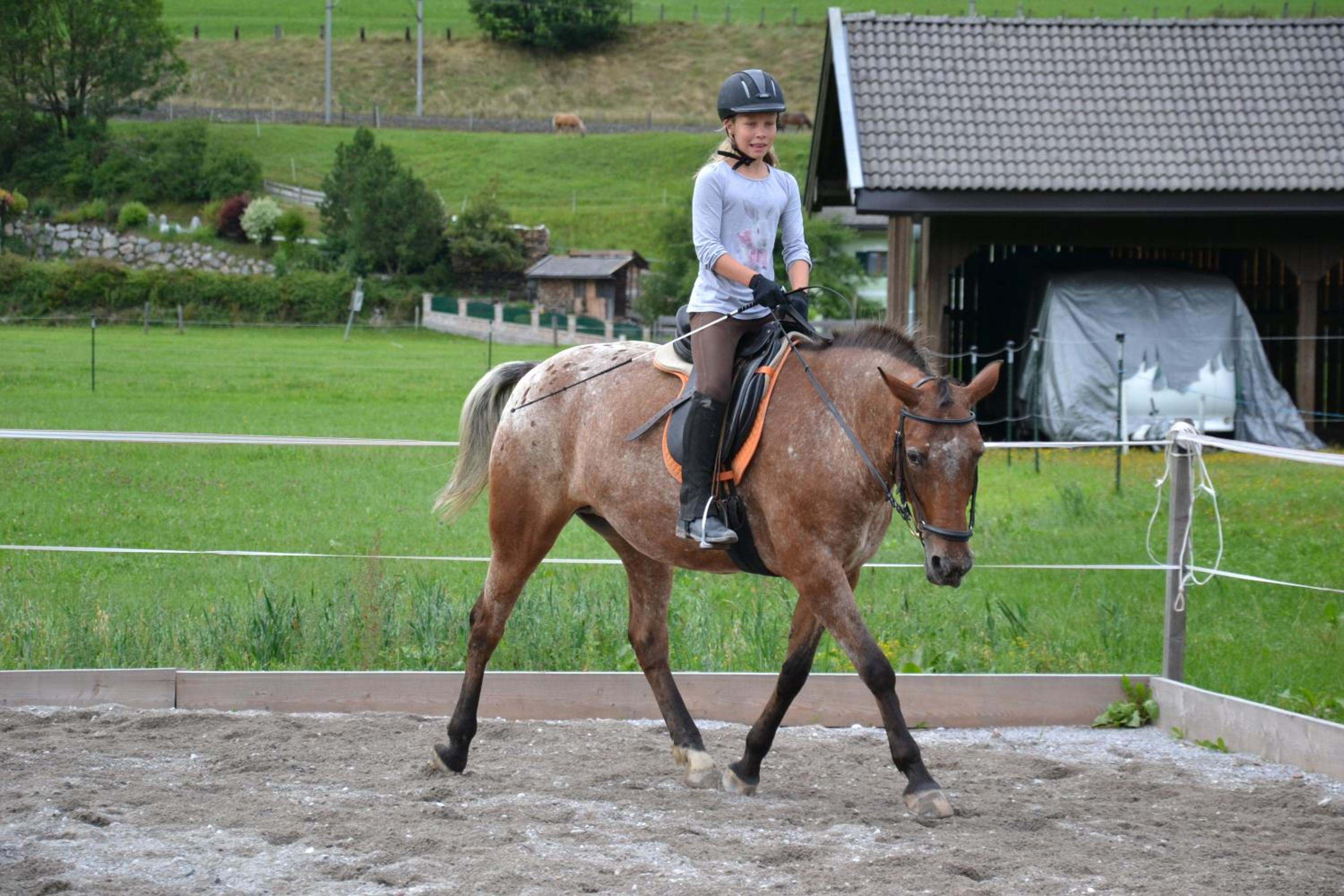 Kleintödlinggut
