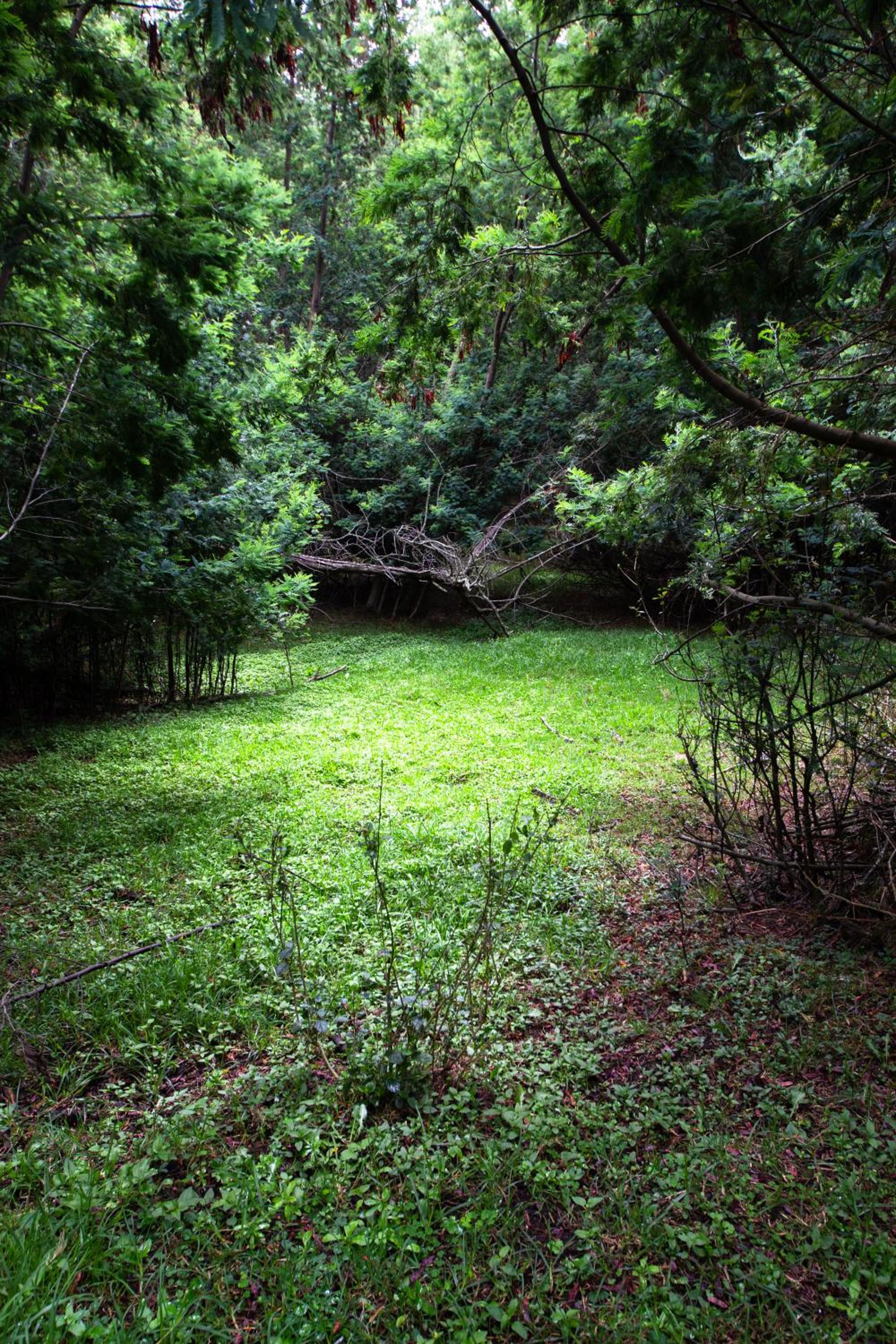 Photo 25