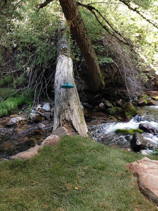Treehouse On The Stream Sundance, Utah