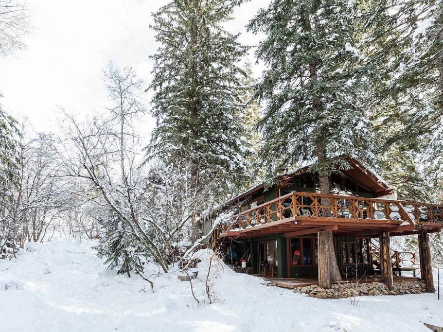Treehouse On The Stream Sundance, Utah