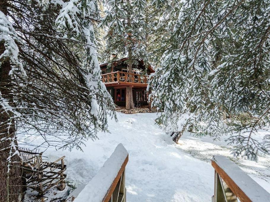 Treehouse On The Stream Sundance, Utah