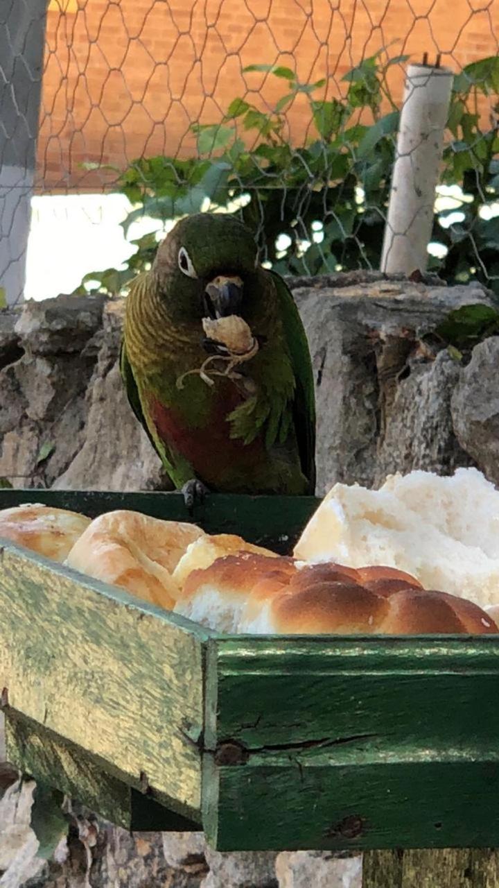 Chalé do Parque