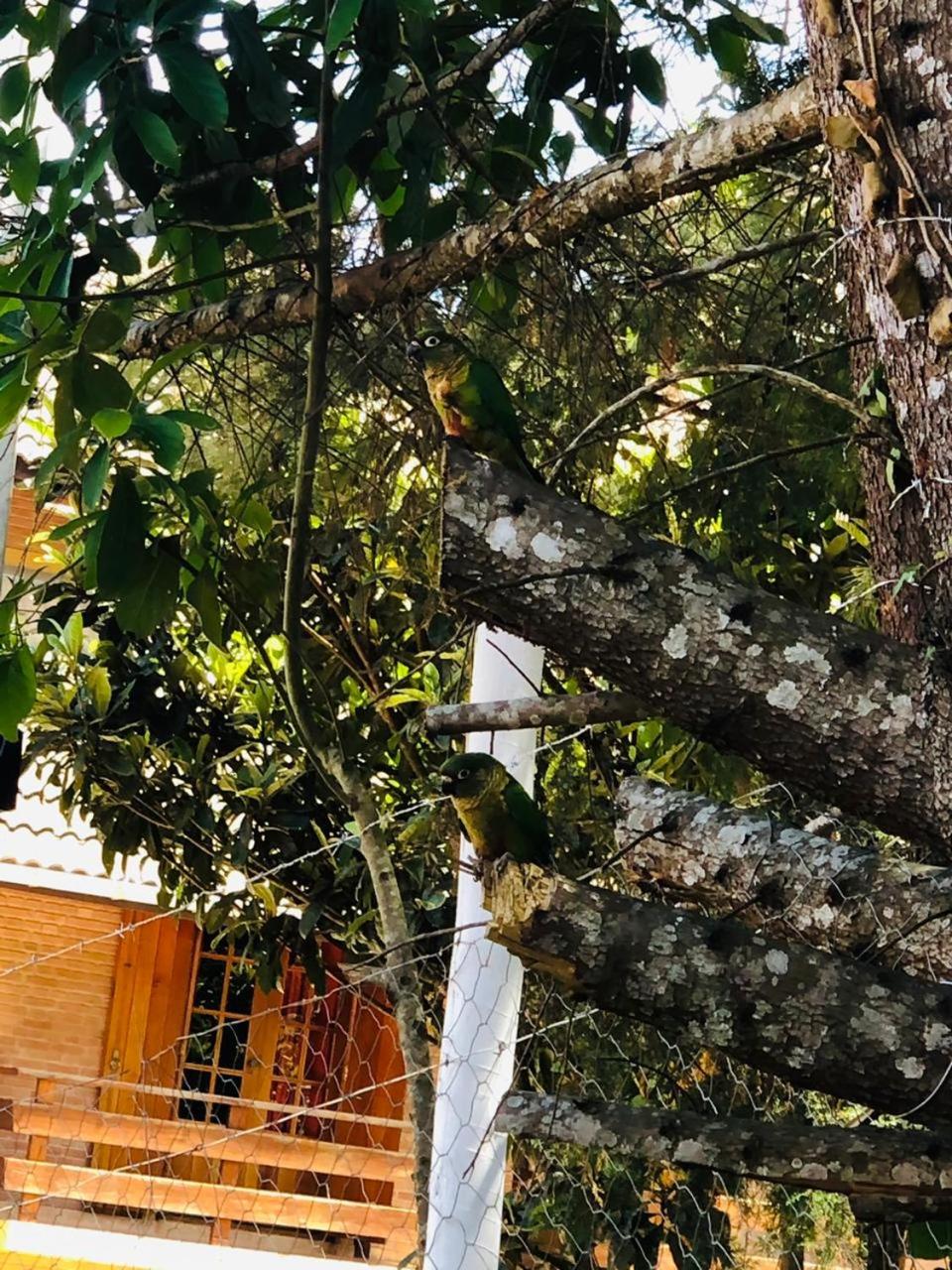 Chalé do Parque