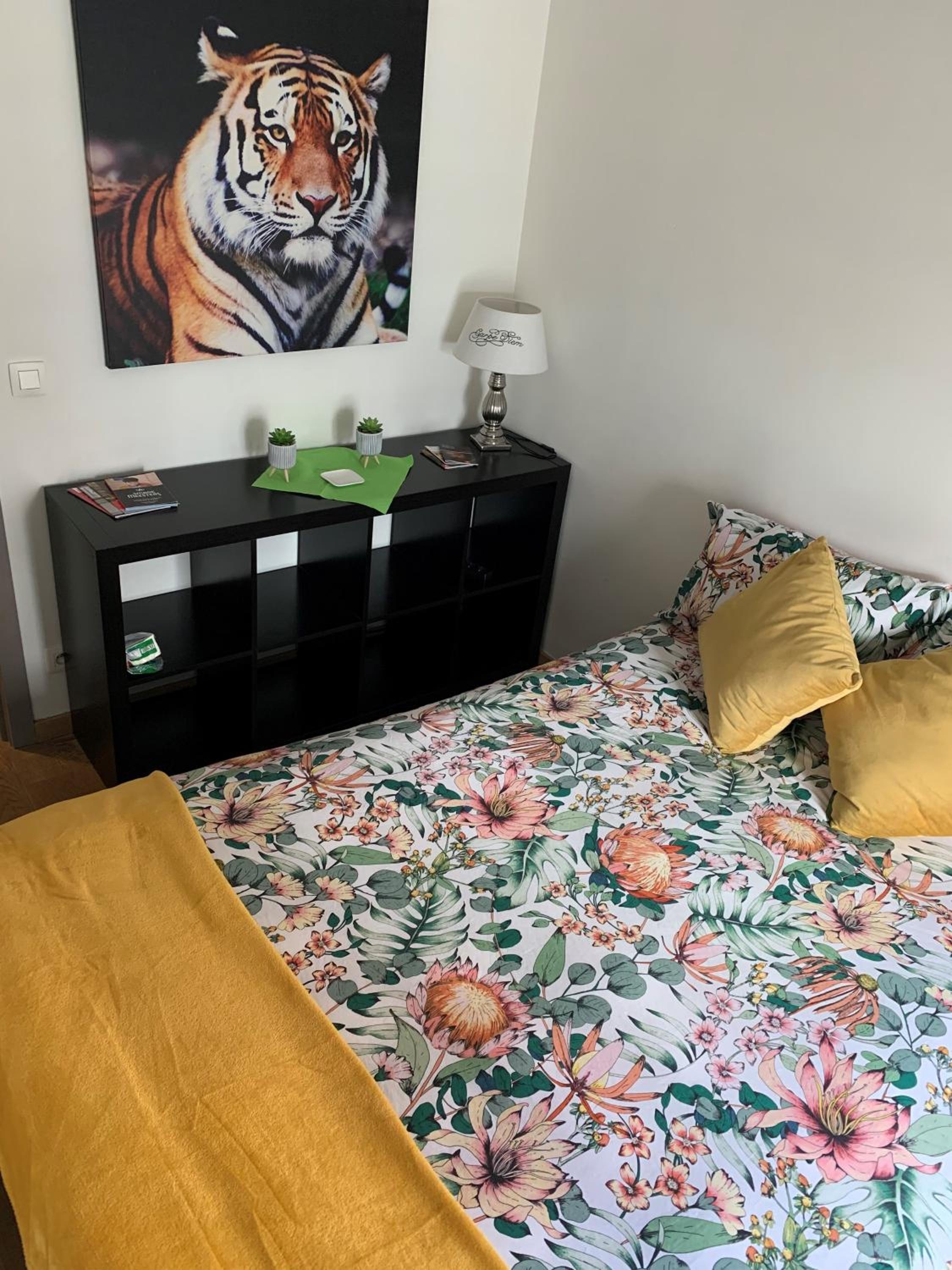 BnB Antwerp Centrum