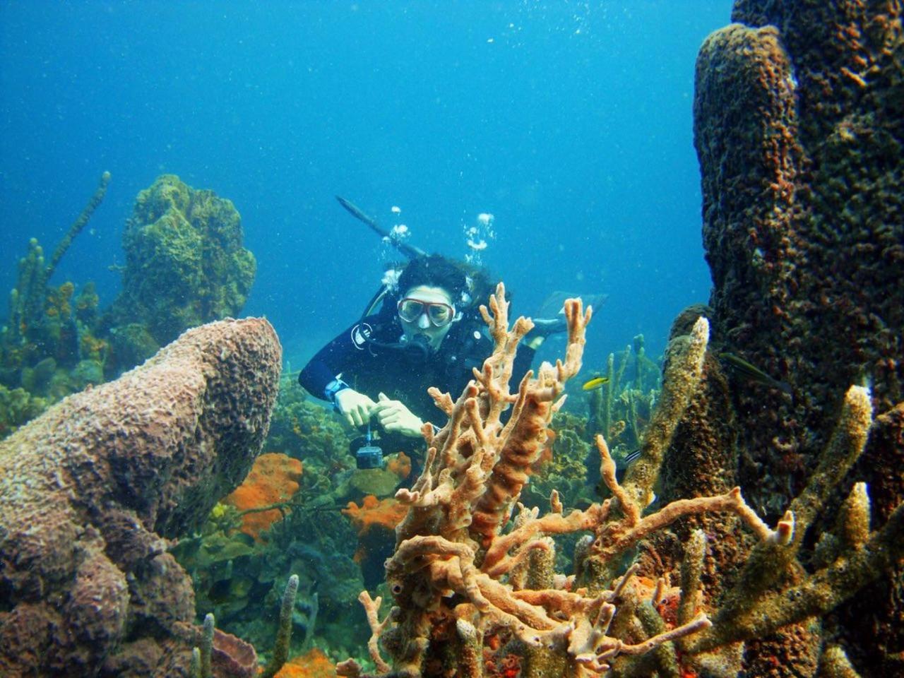 Ecohotel Arte y Aventura
