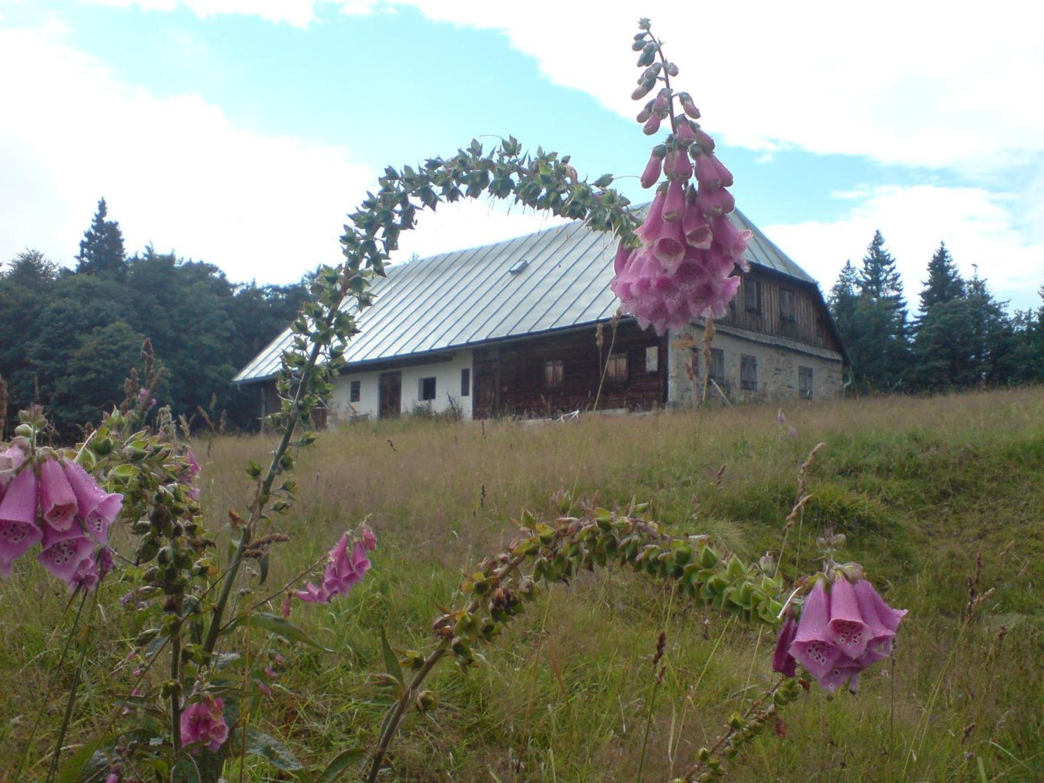 Photo 30