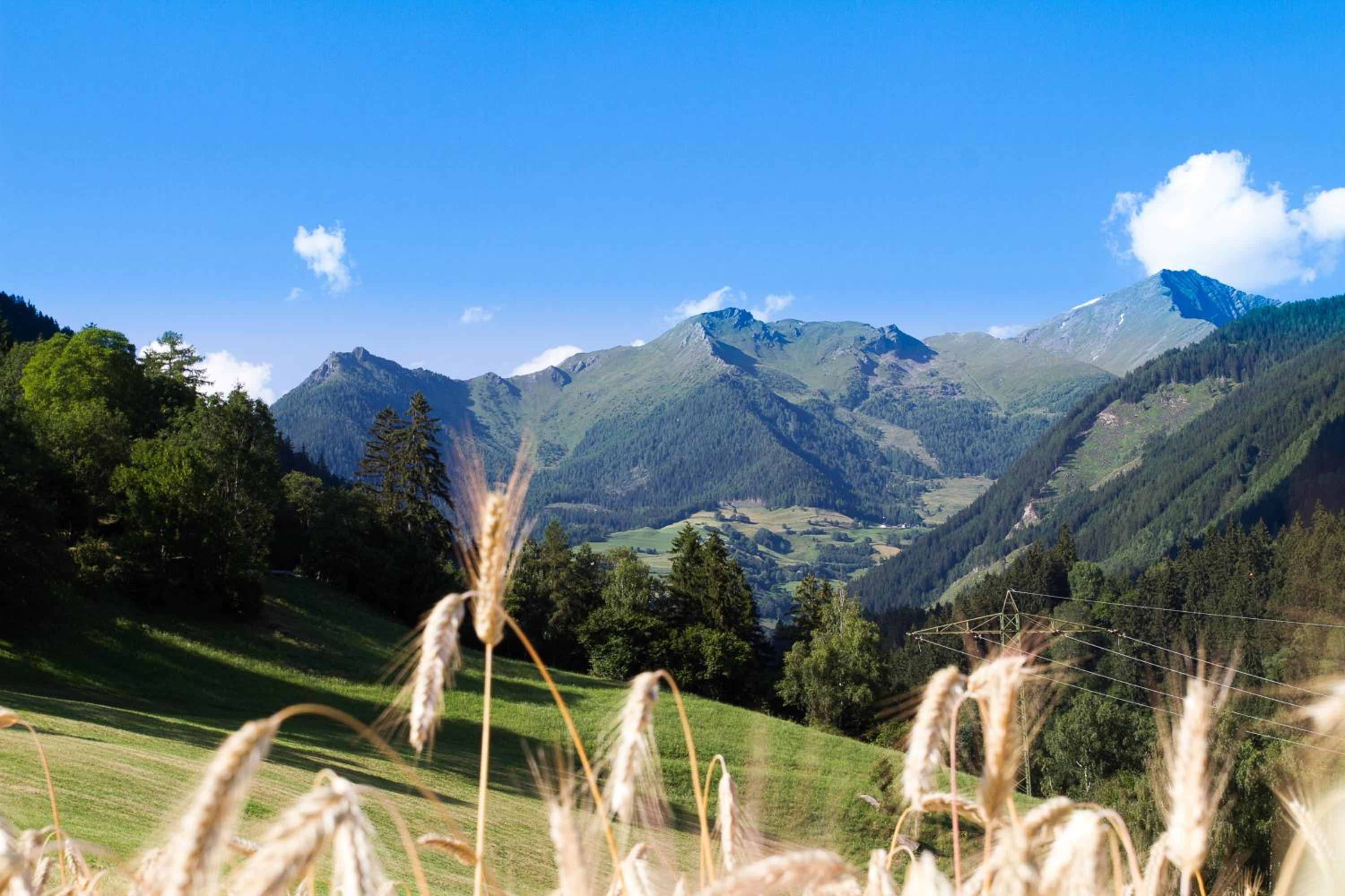 Ranacherhof