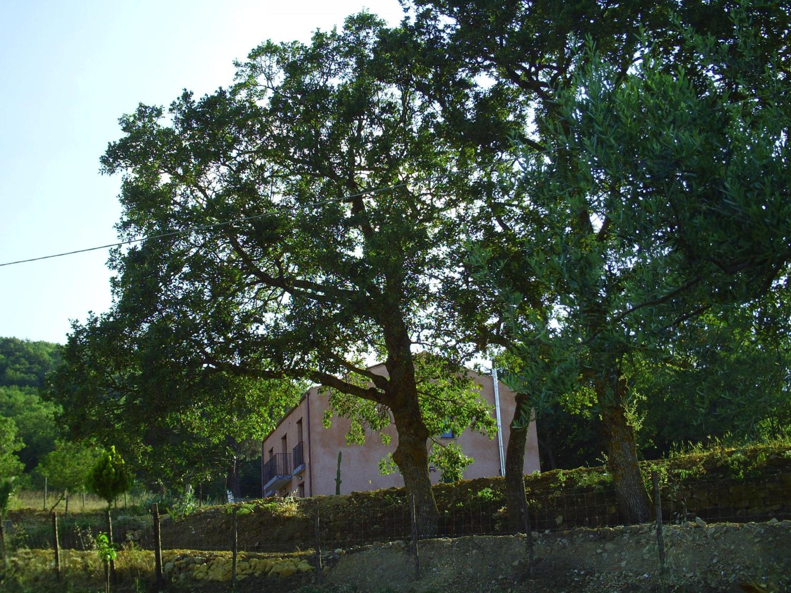 Photo 47