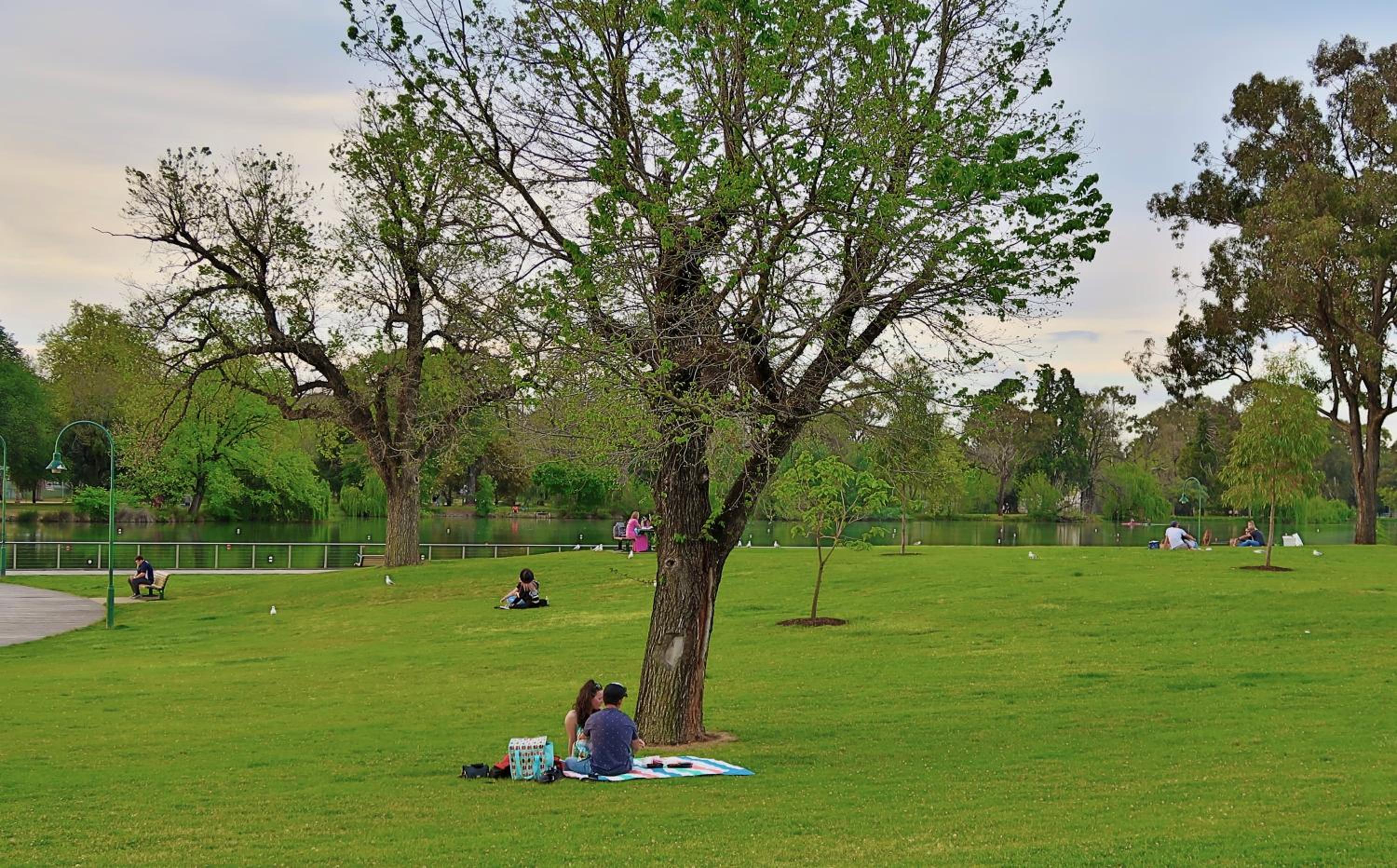 Photo 40
