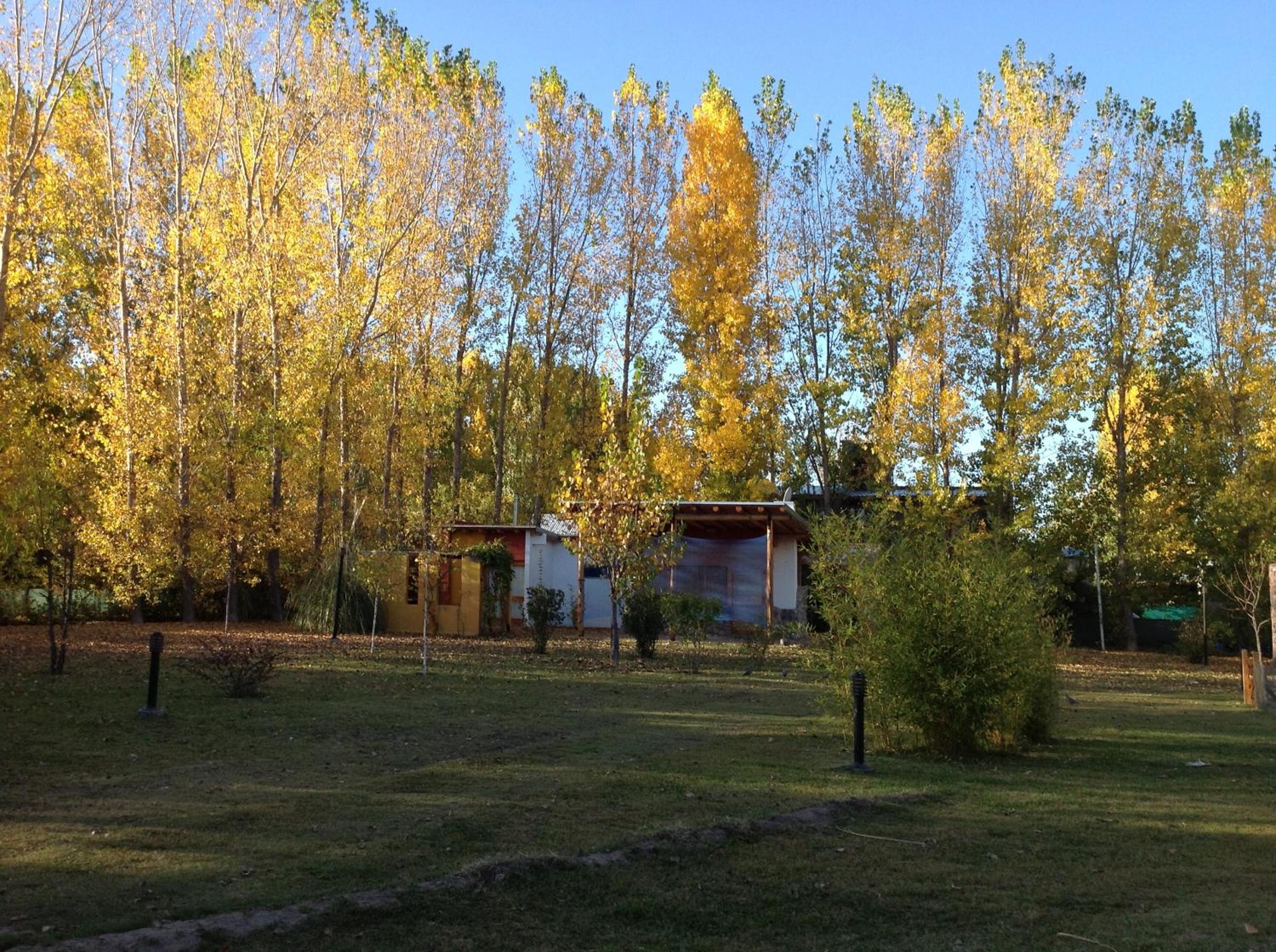 La Viñuela