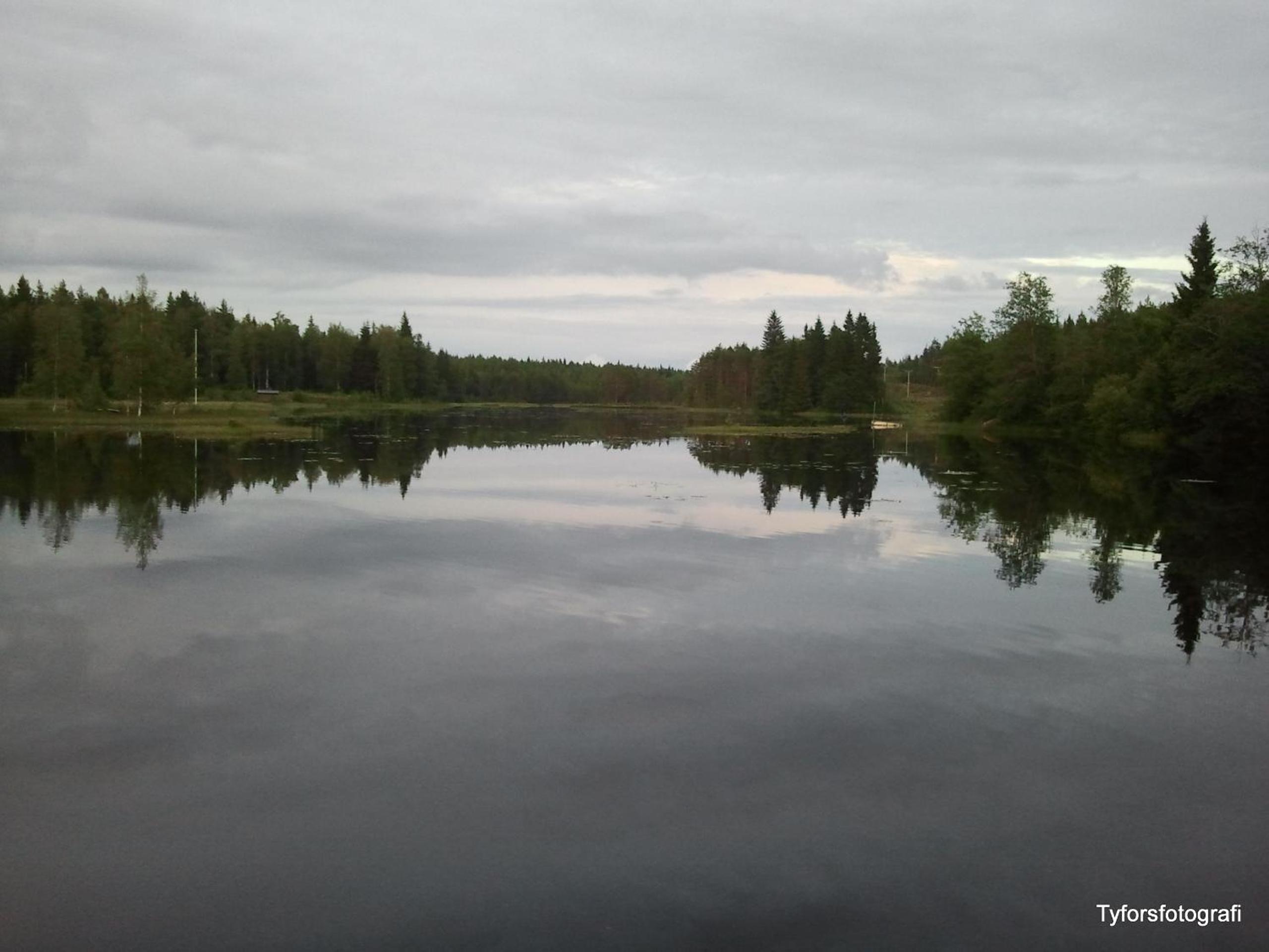 Photo 55