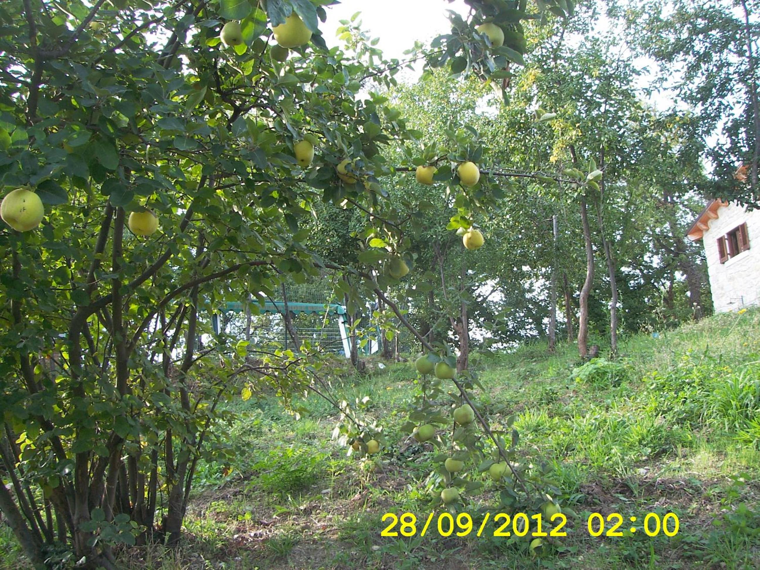 Country House Antiche Dimore