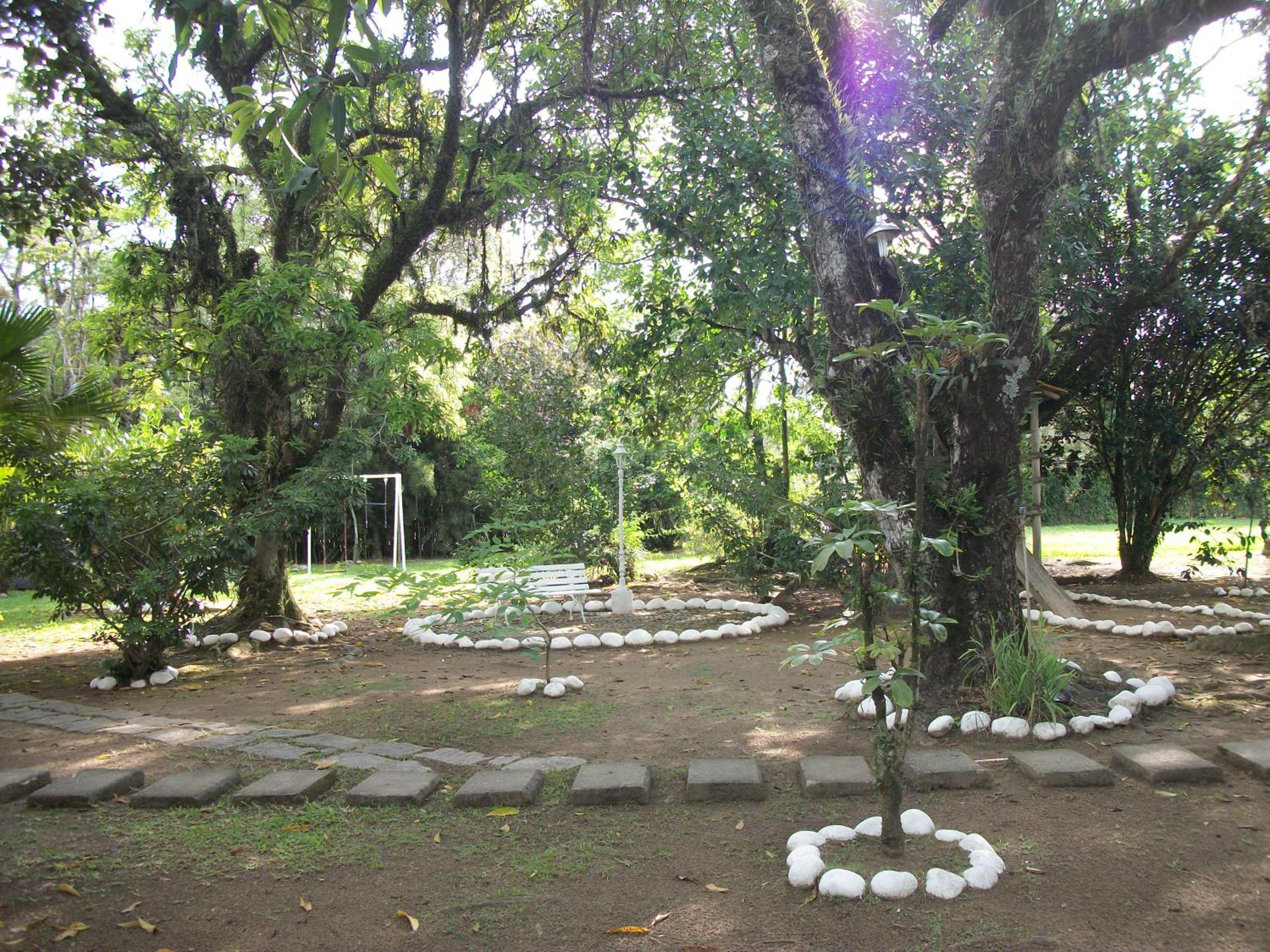 Photo 39