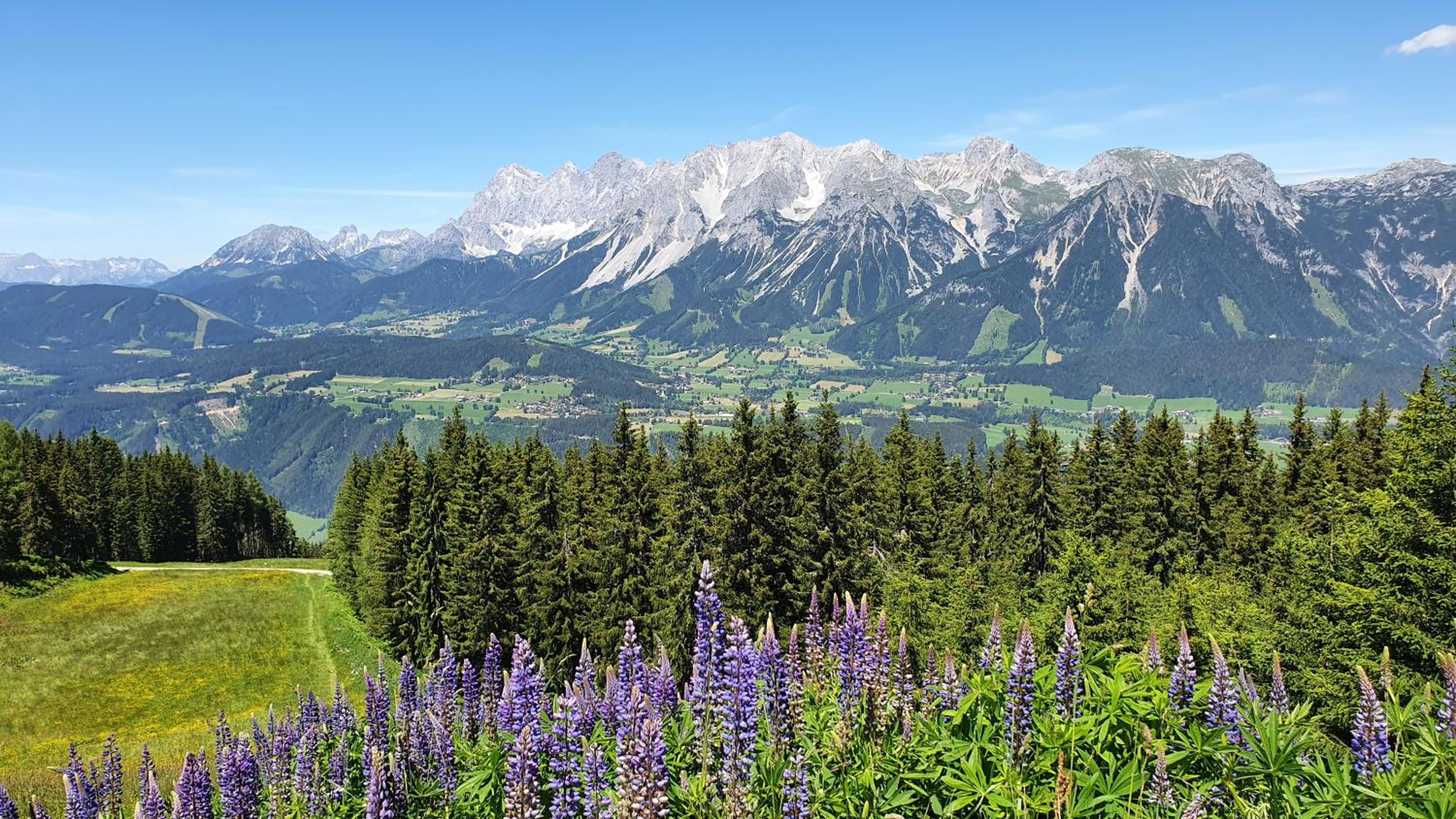 Schmiedlehnerhof