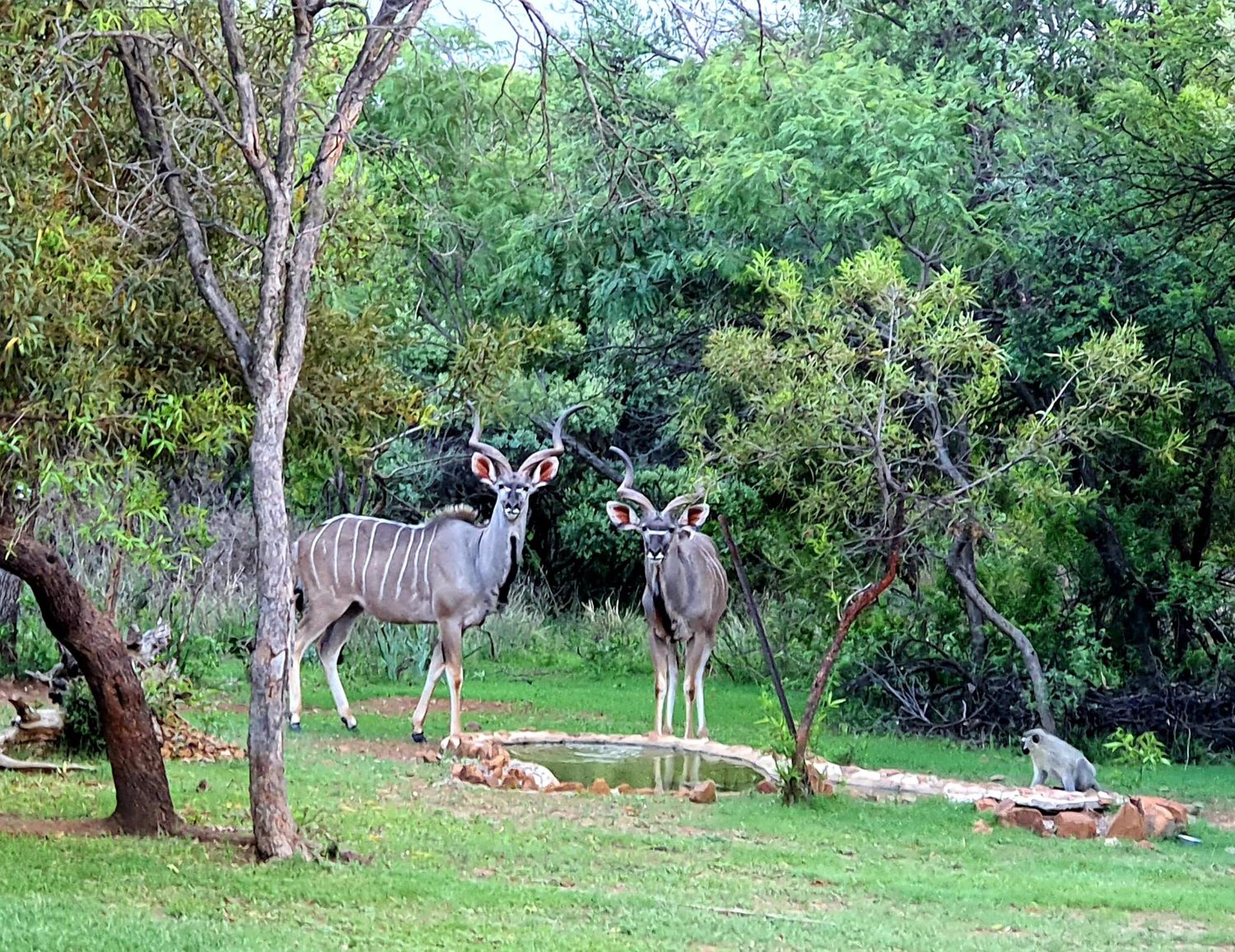 Elements Private Golf Reserve 109