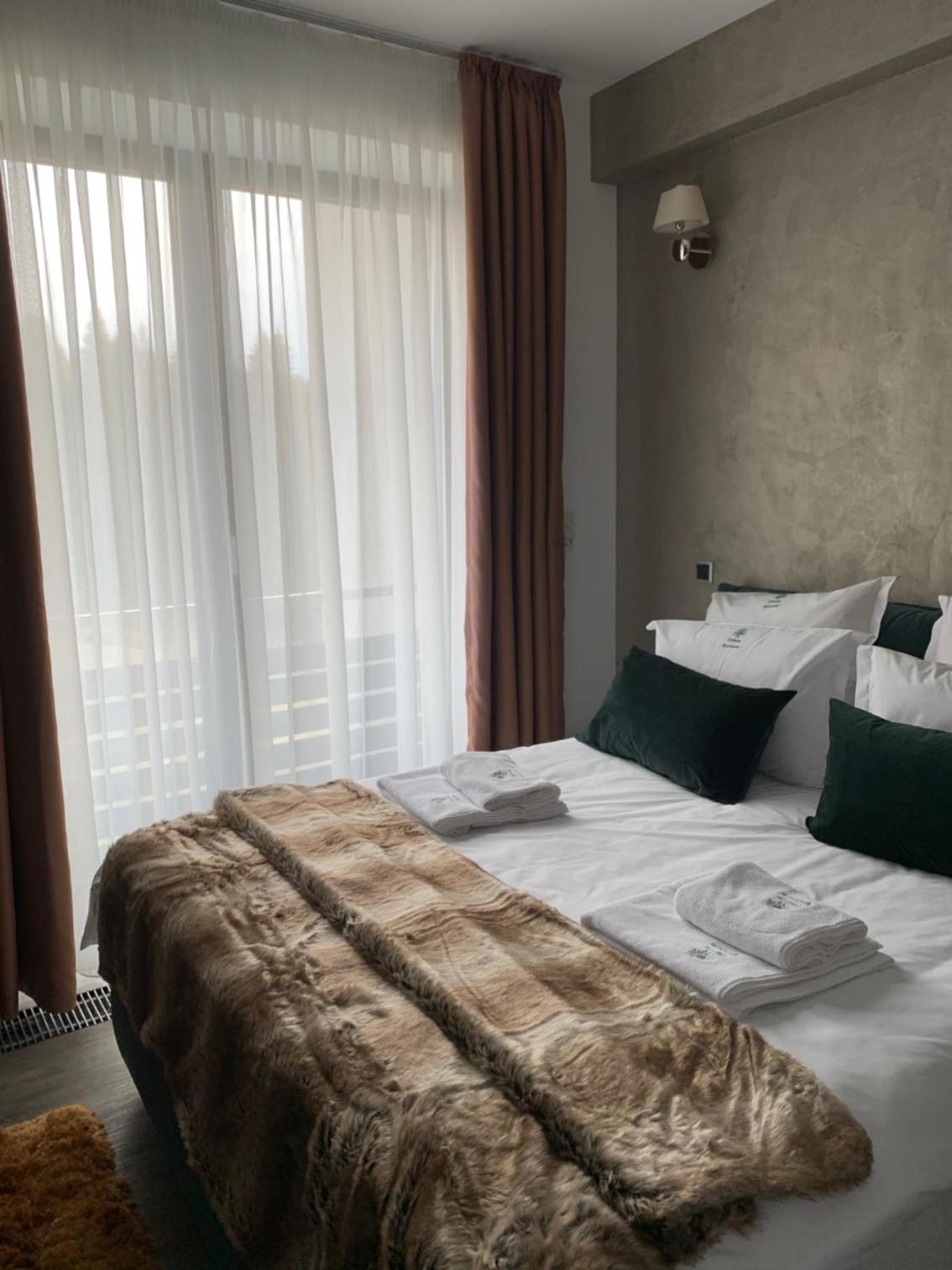 Edelweiss Apartments SILVER RESORT POIANA BRASOV view 4