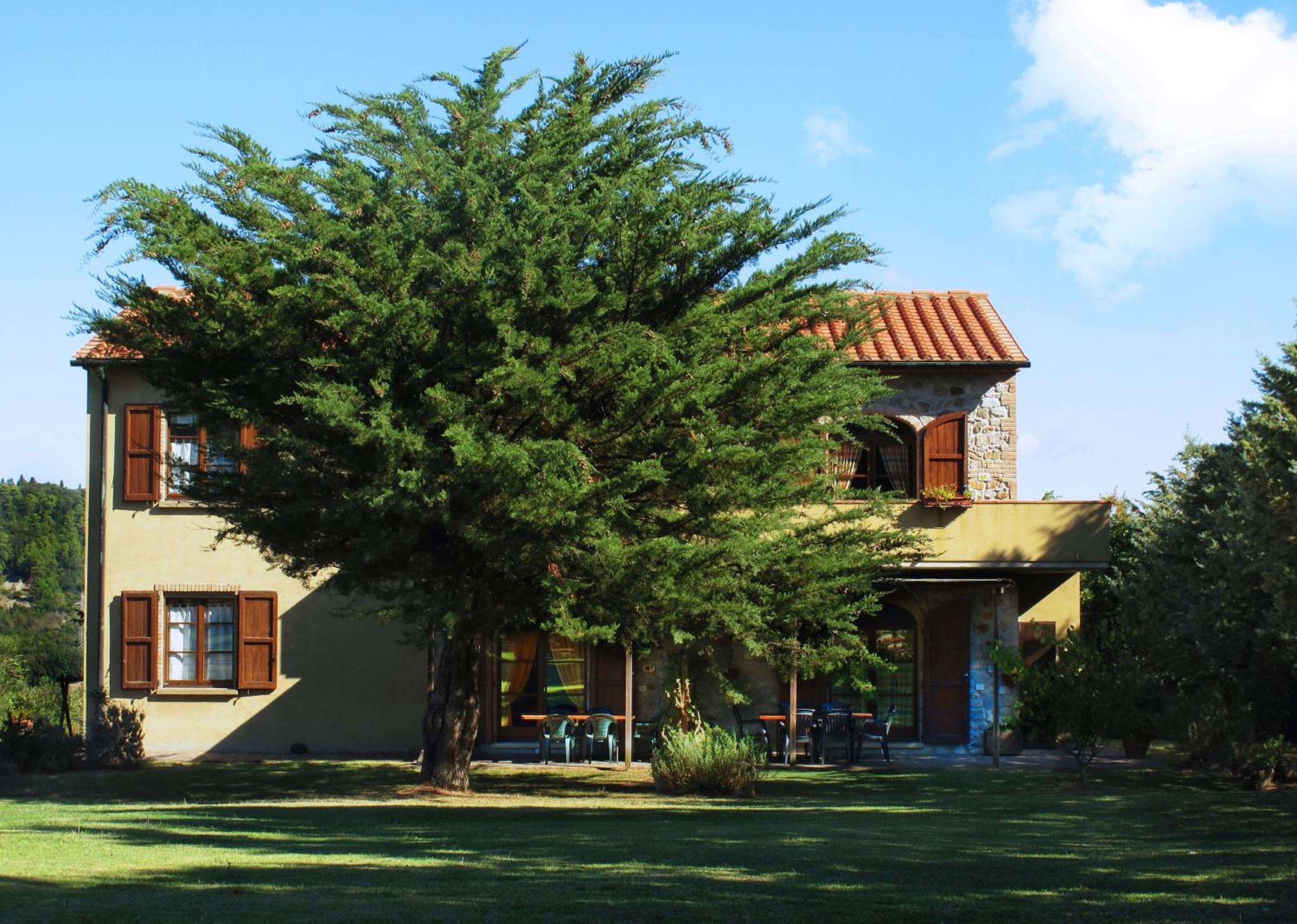 Appartamento Olivo - Agriturismo Le Selvole view 2