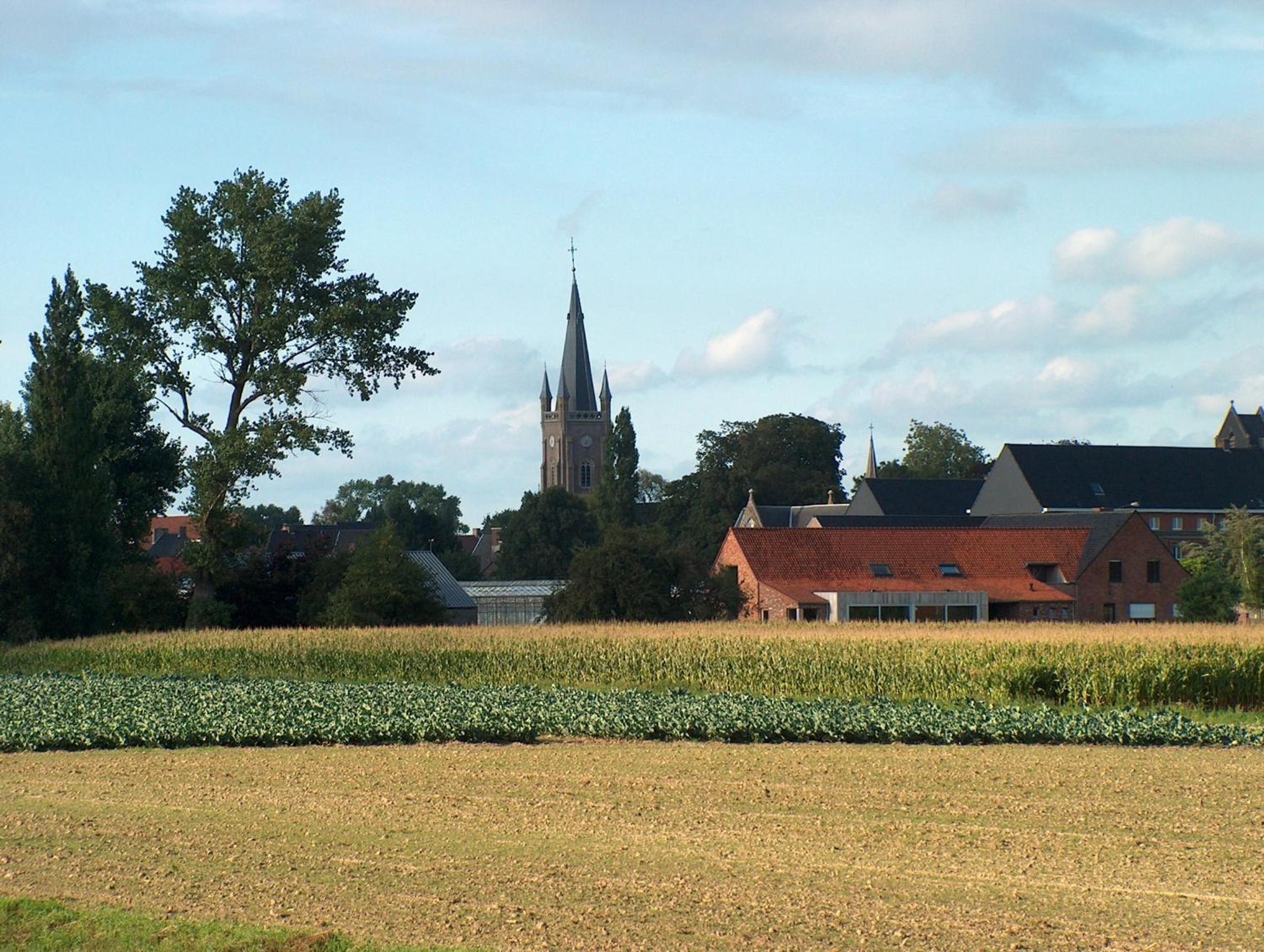 Buytenshuys