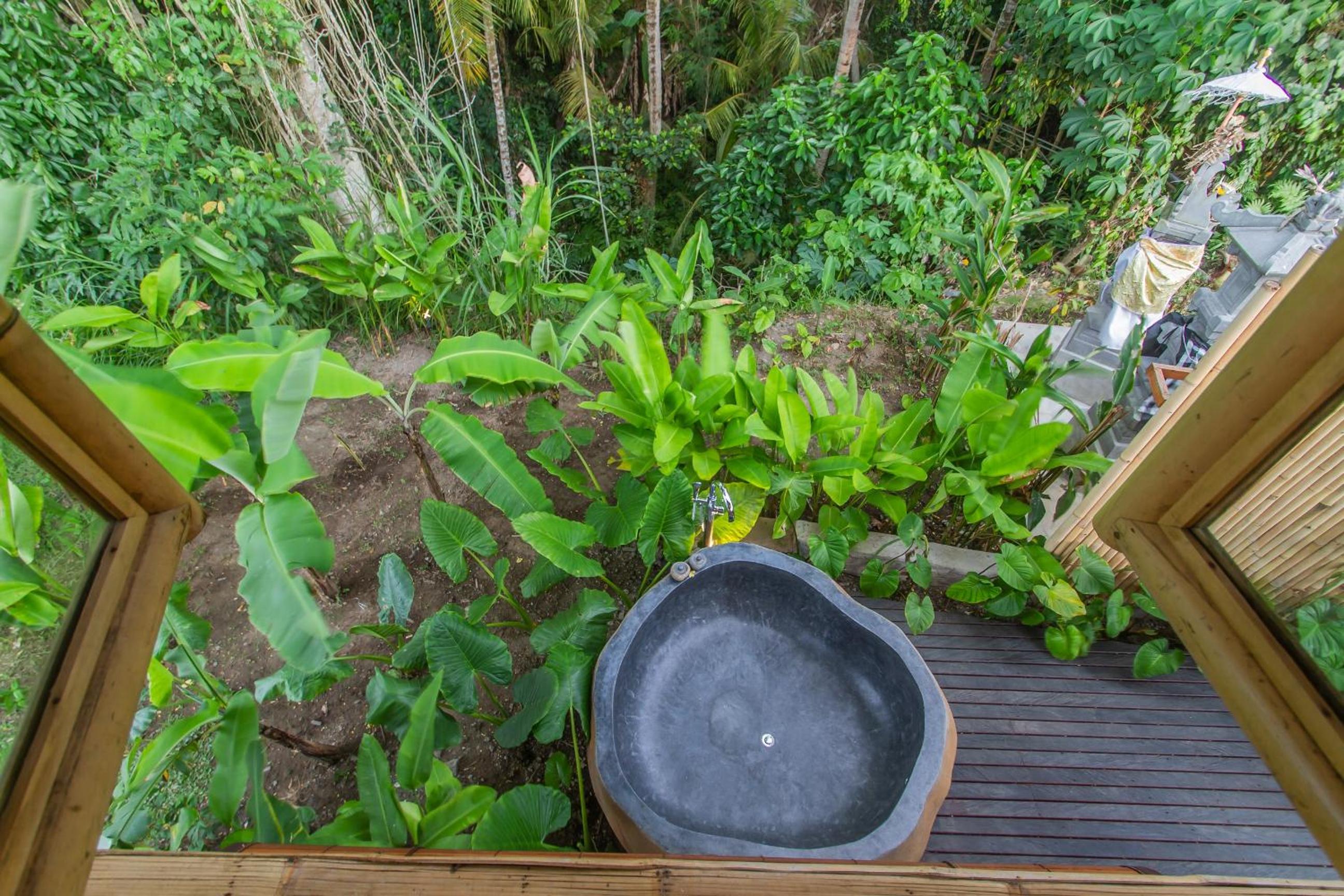Amareka Ubud view 5