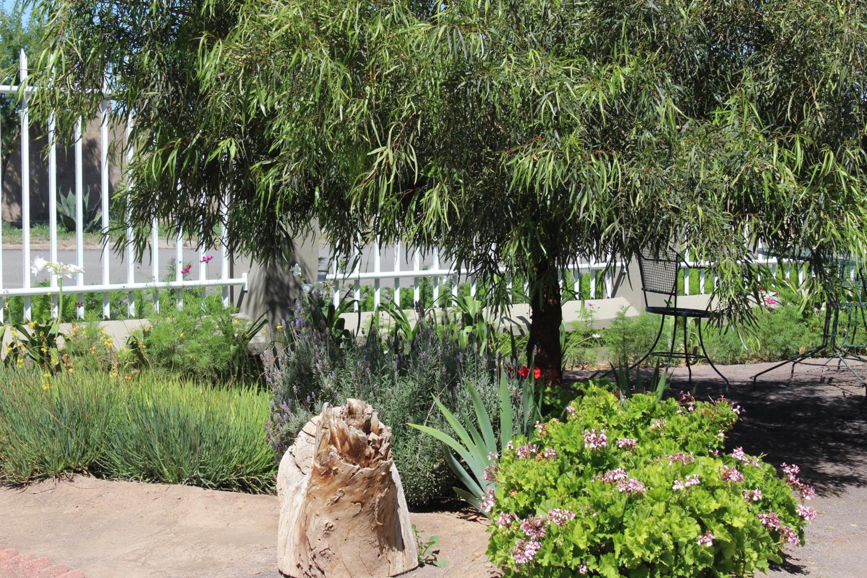 Ons Dorpshuis Beaufort West view 4