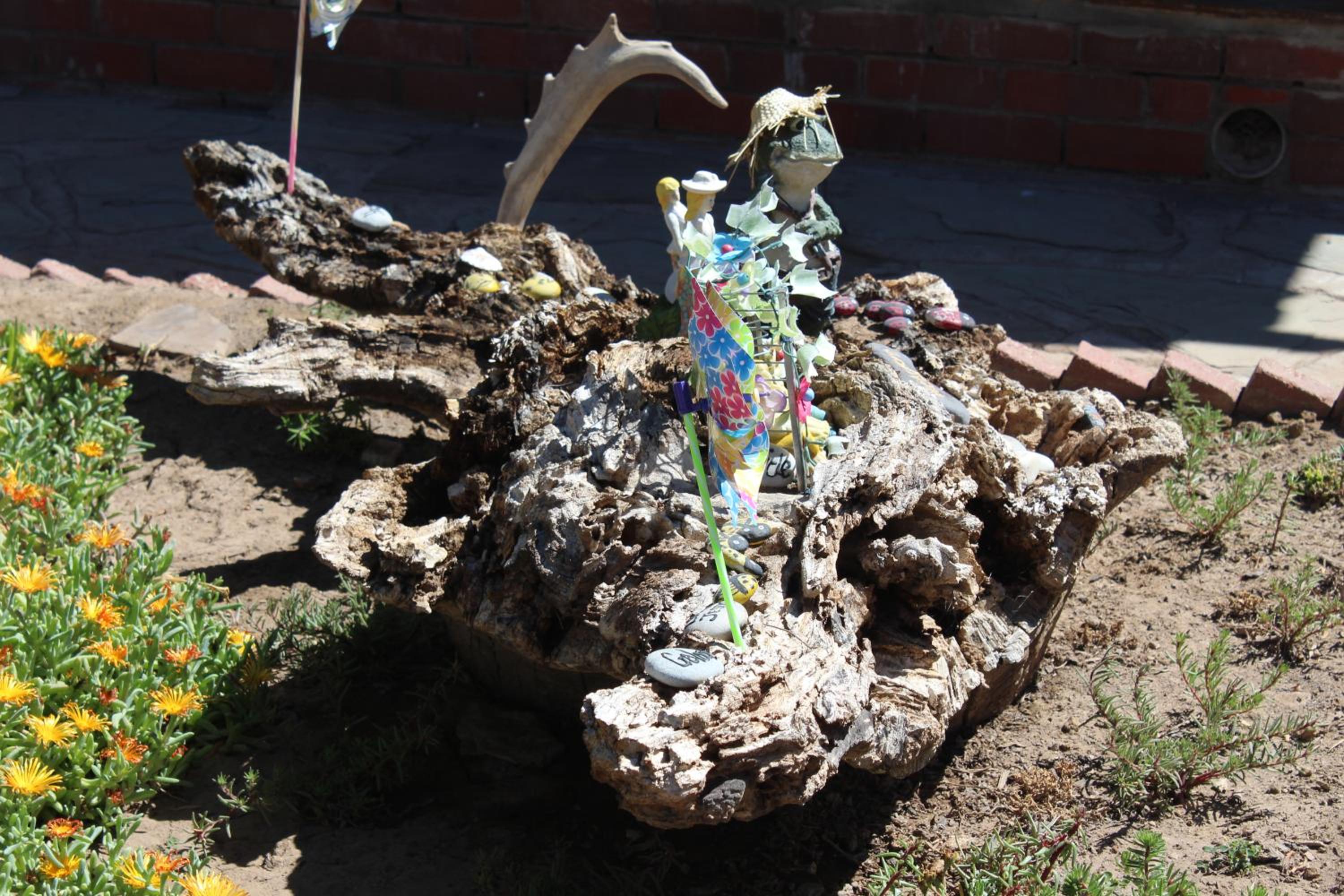 Photo 25