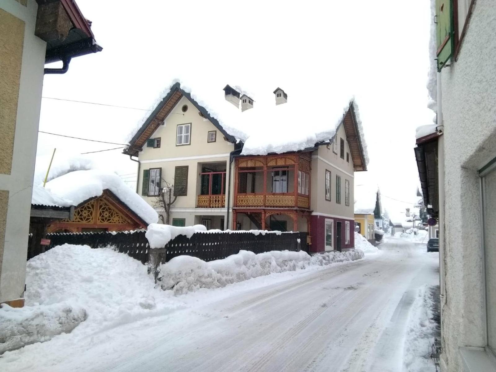 XXL Cosy apartments Villa Goisern, centre with mountain view