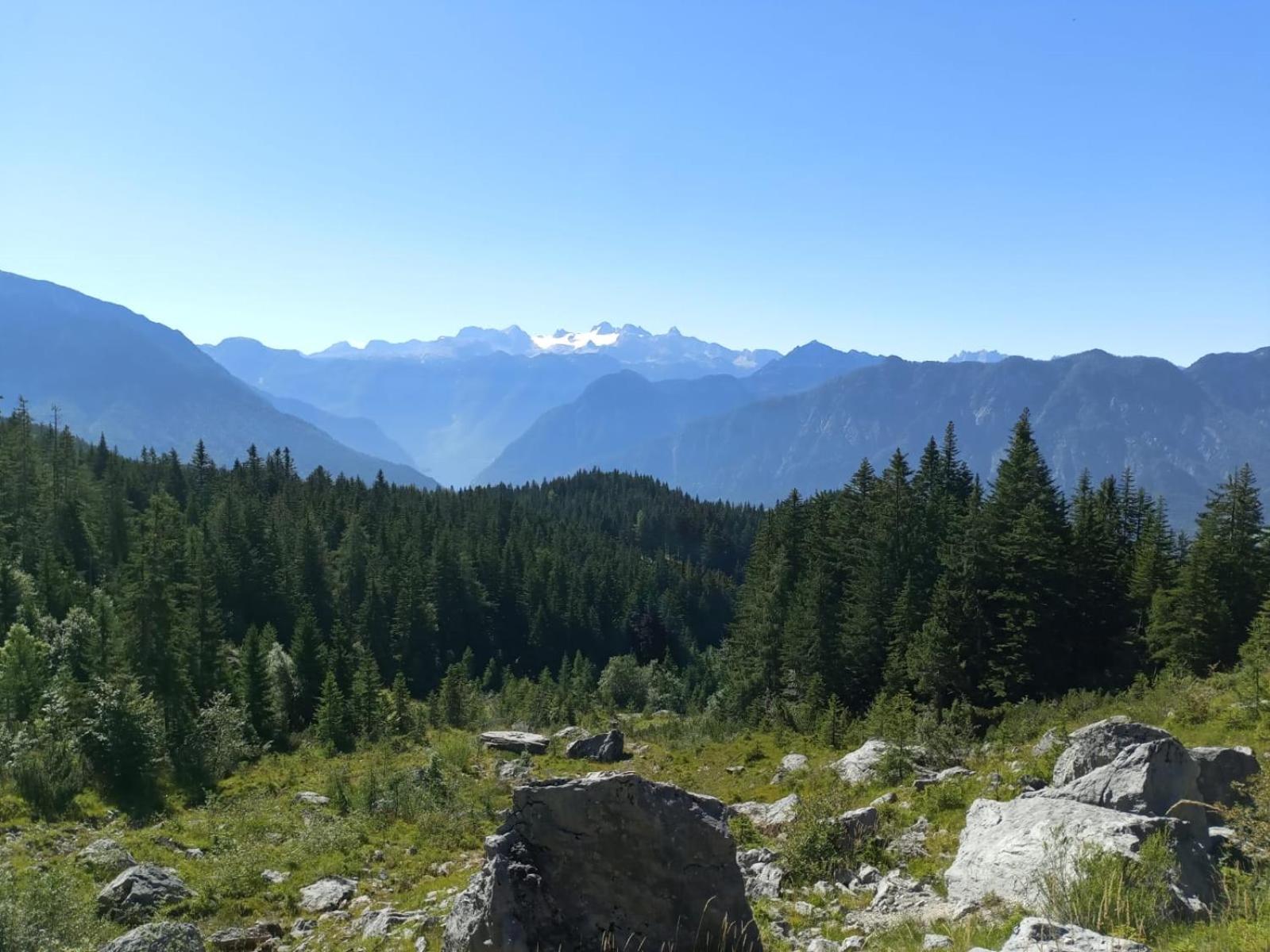 XXL Cosy apartments Villa Goisern, centre with mountain view