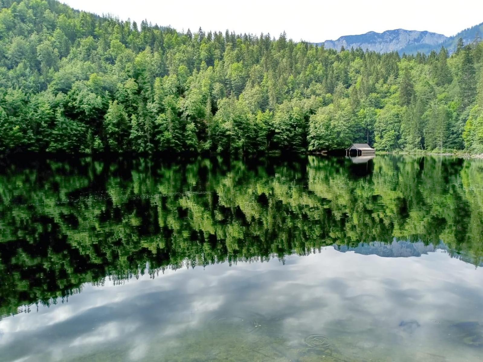 XXL Cosy apartments Villa Goisern, centre with mountain view