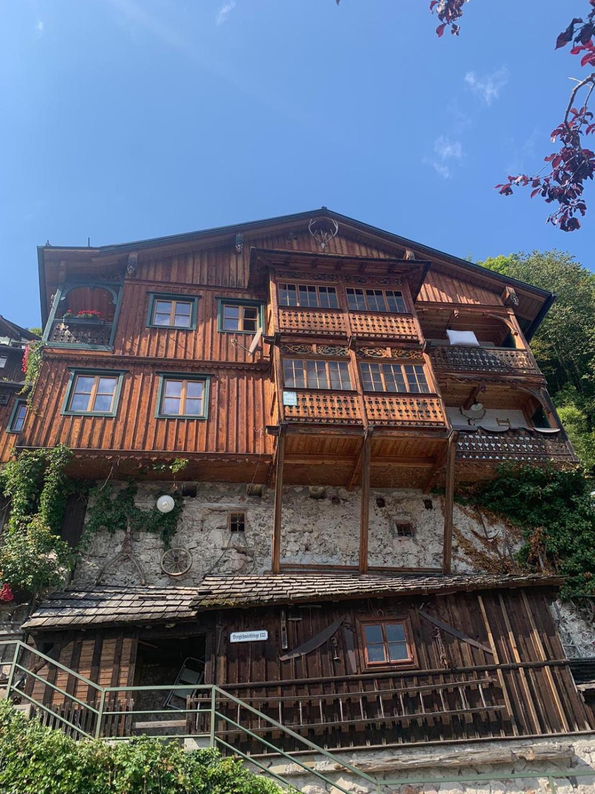 XXL Cosy apartments Villa Goisern, centre with mountain view