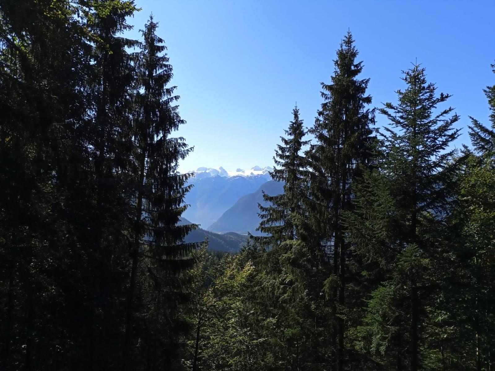 XXL Cosy apartments Villa Goisern, centre with mountain view