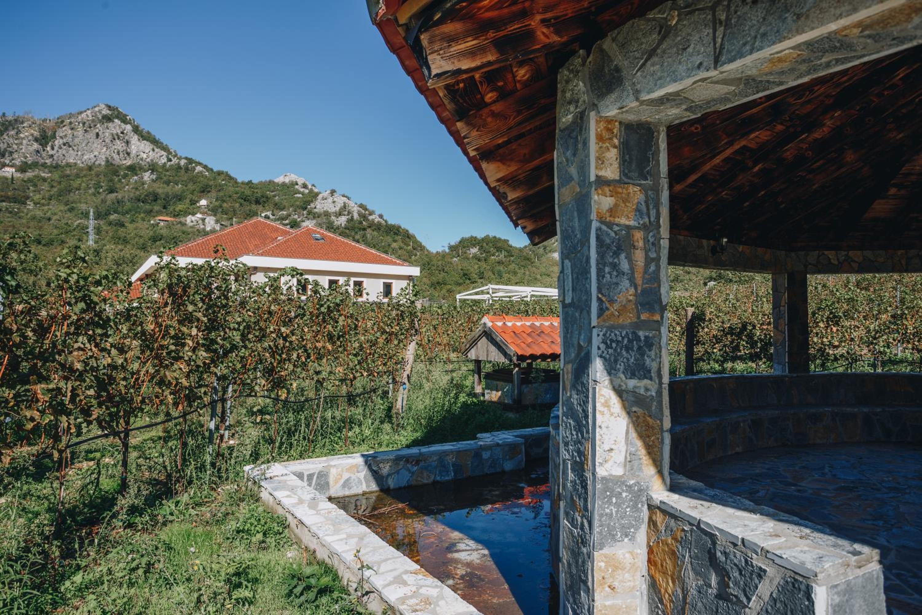 Eco Winery Lipovac Apartments view 2