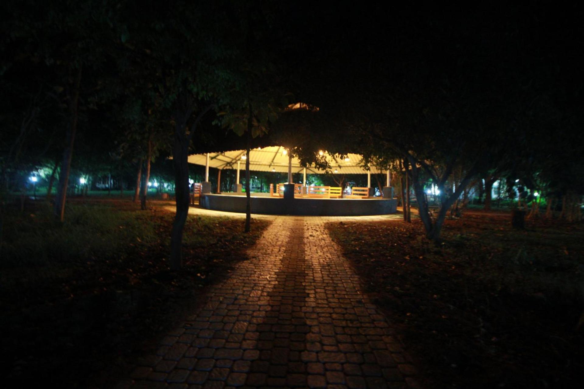 Photo 19
