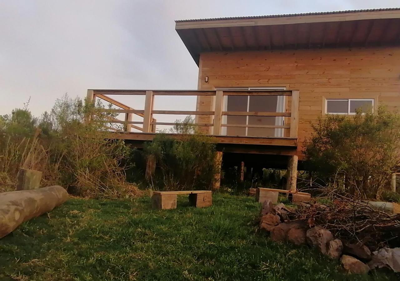Charrua de Punta colorada