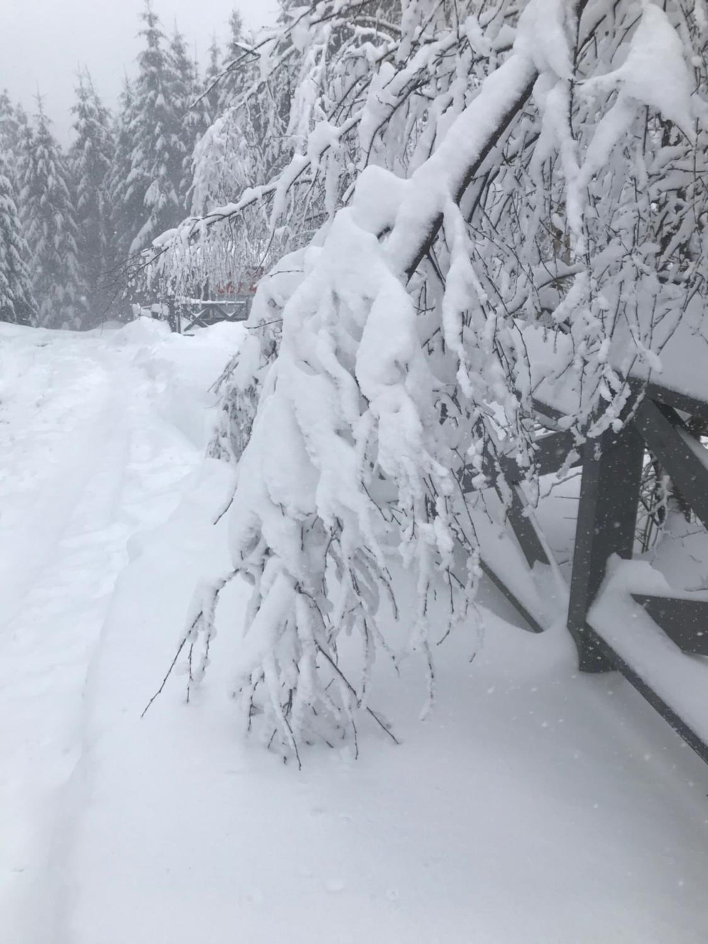 Cottage Karinka