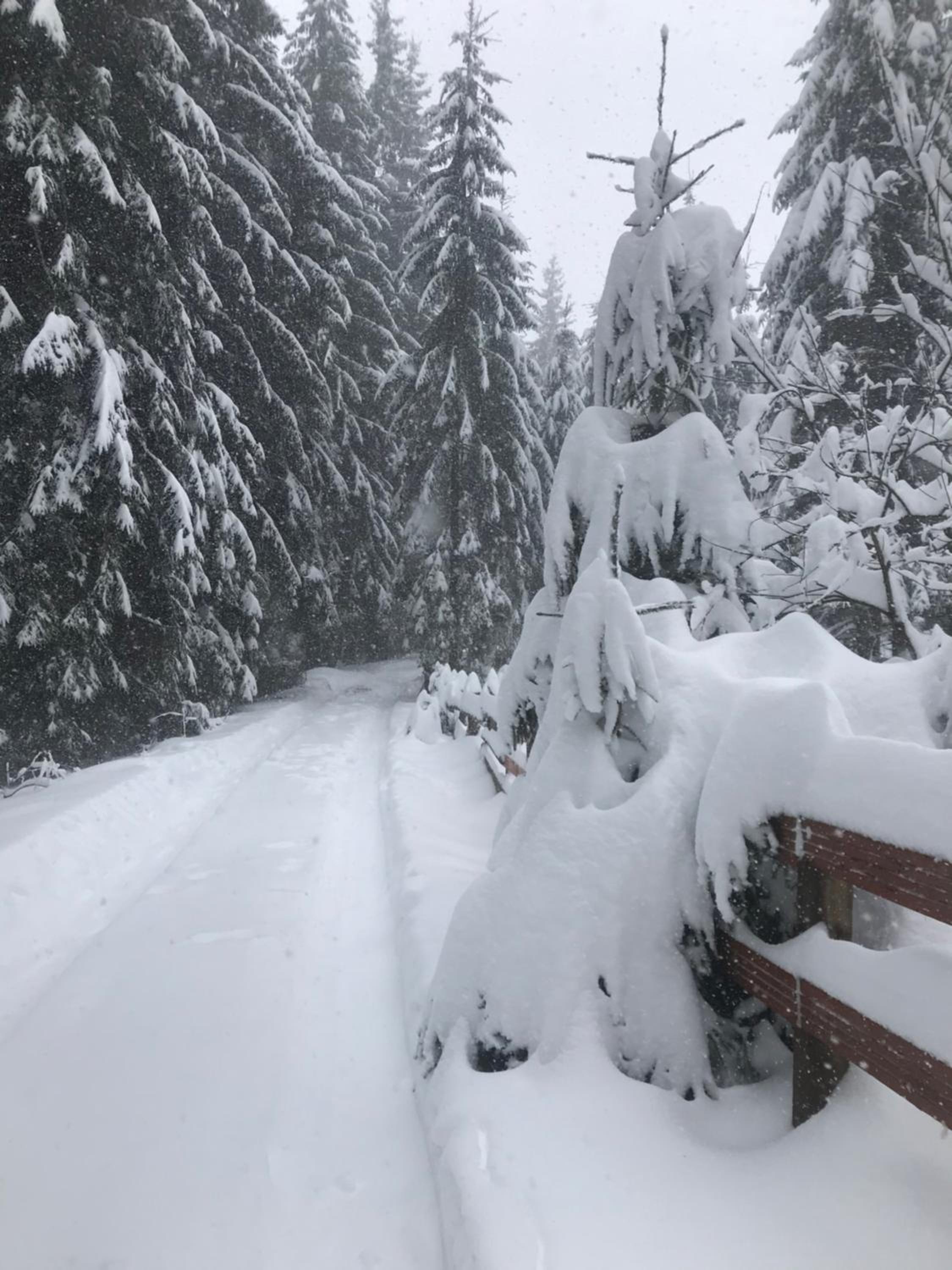 Cottage Karinka