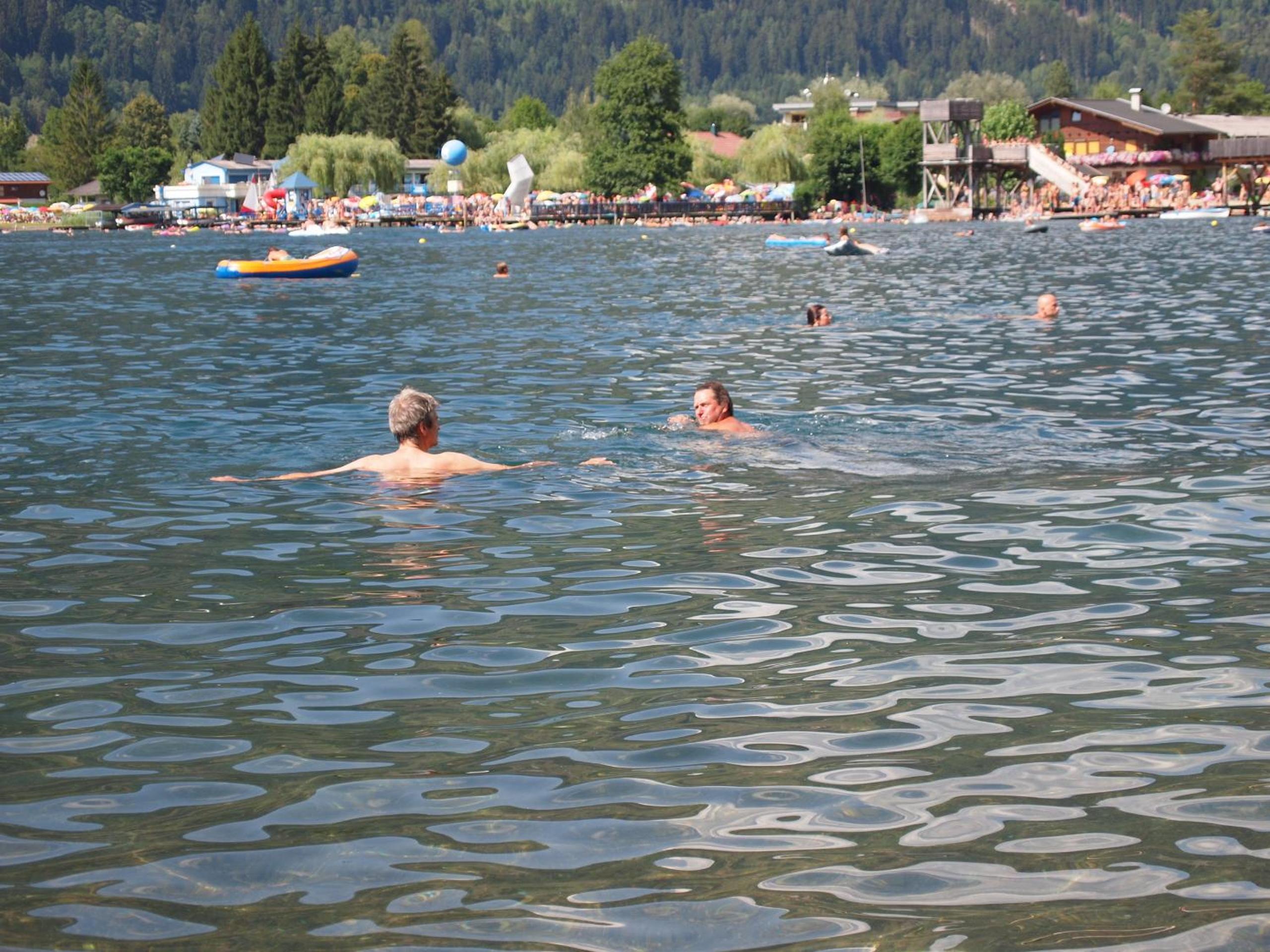 Photo 41