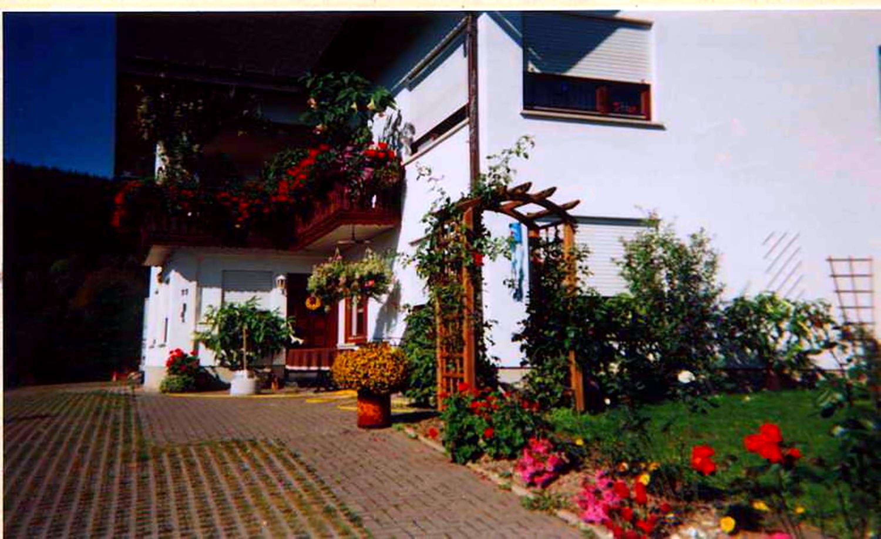 Photo 41